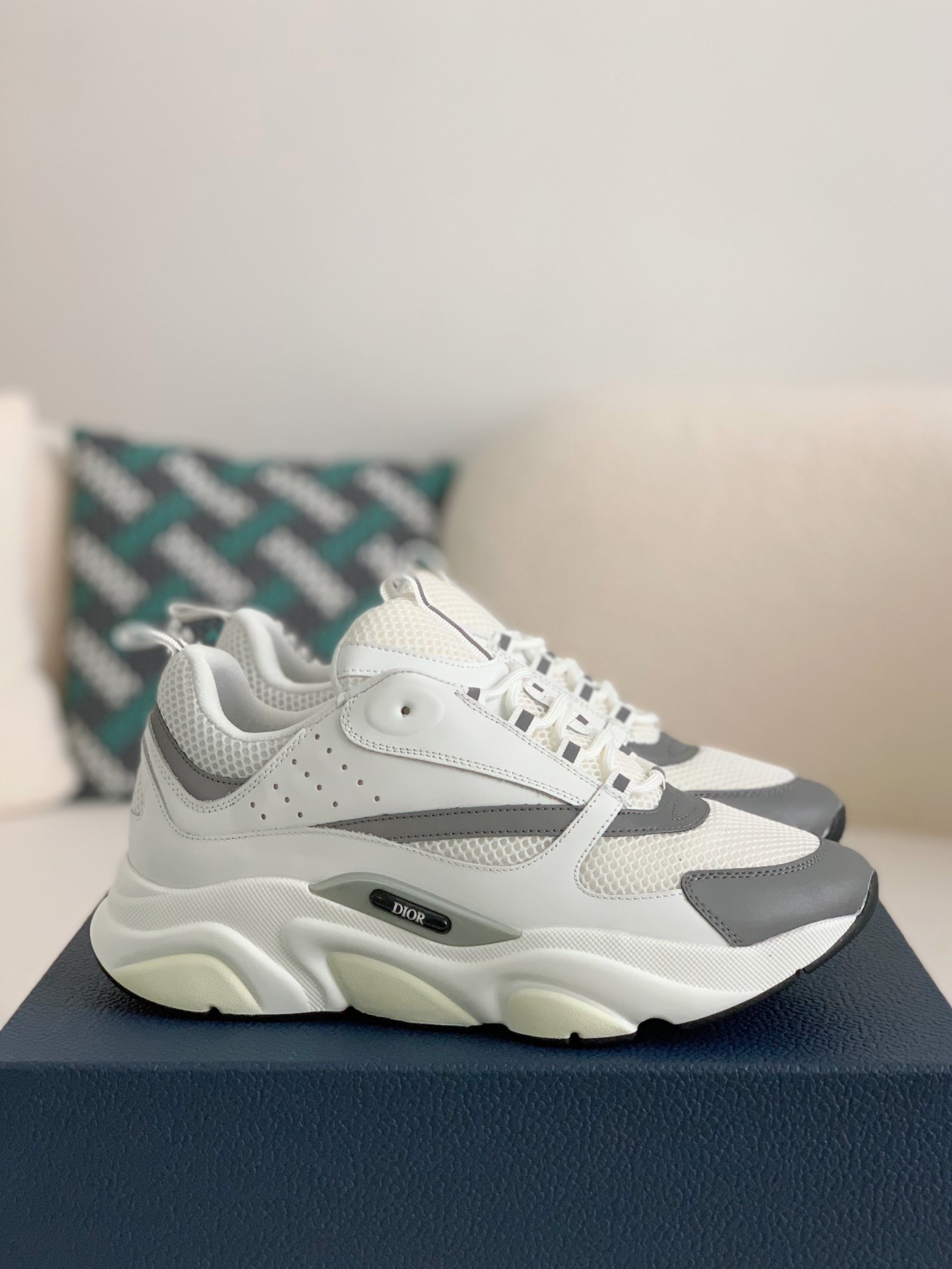 DIOR classic B22 Clunky Sneaker Shoes