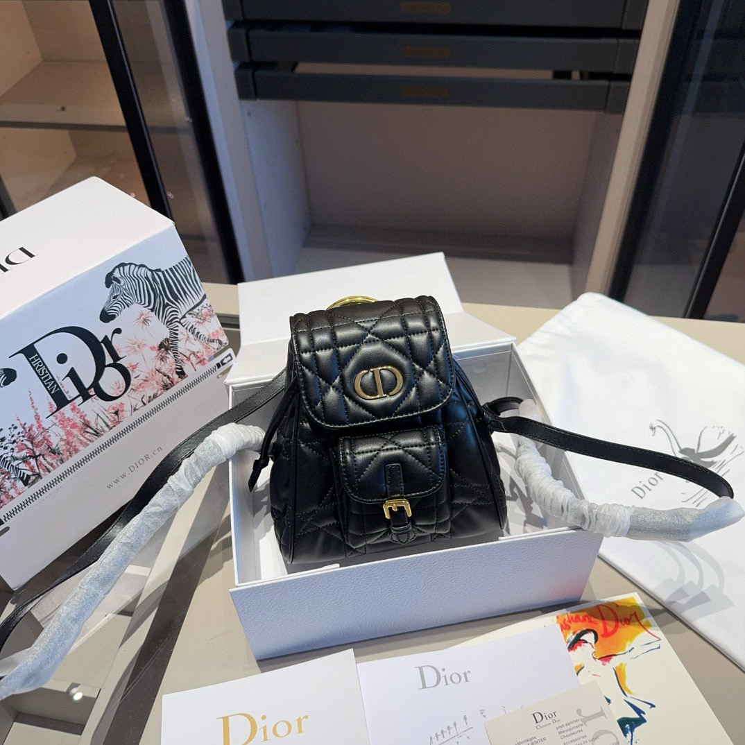 Dior Caro Leather Backpack 10A