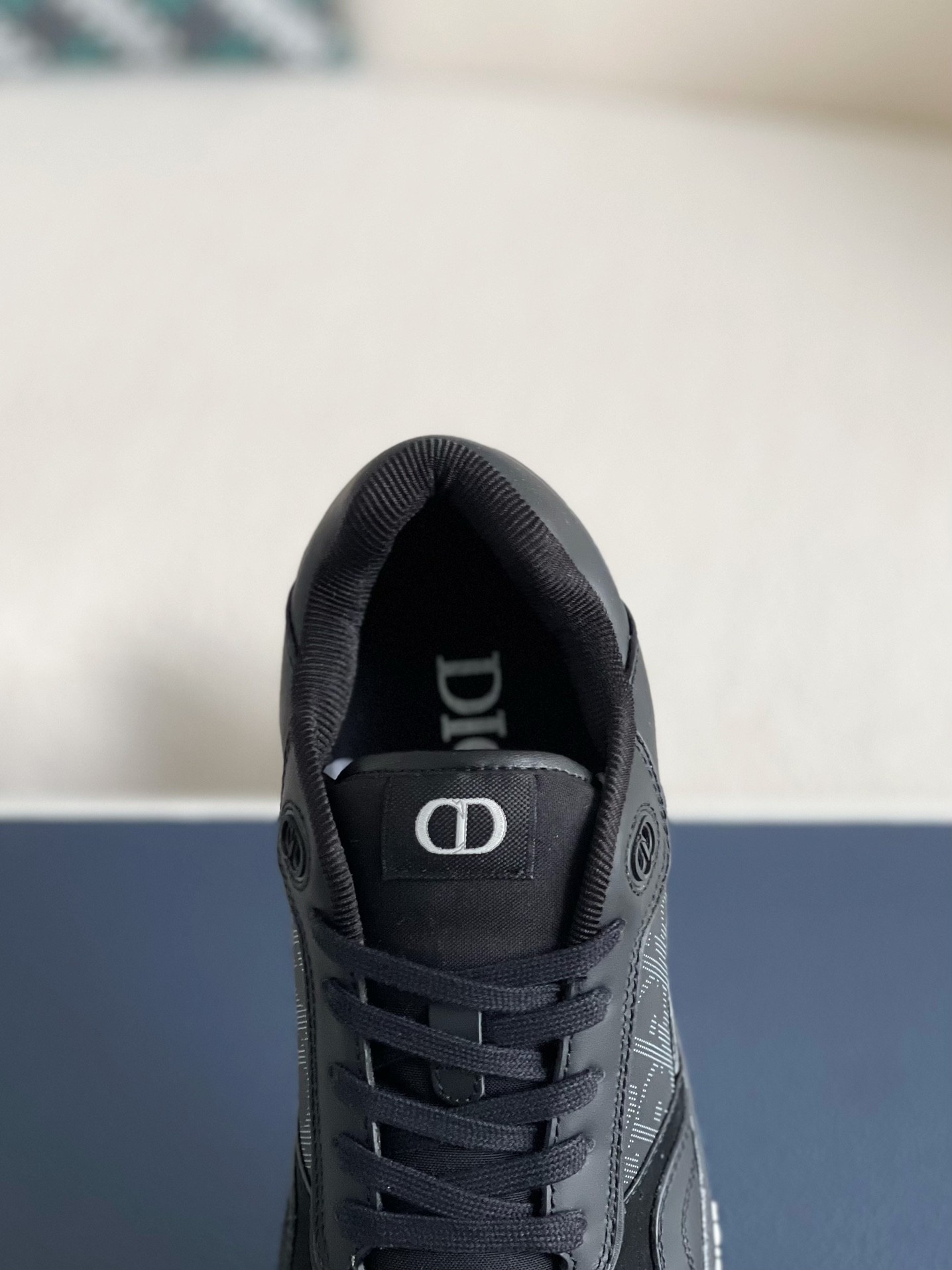 DIOR HIGH LEVEL B27 Sneaker Shoes