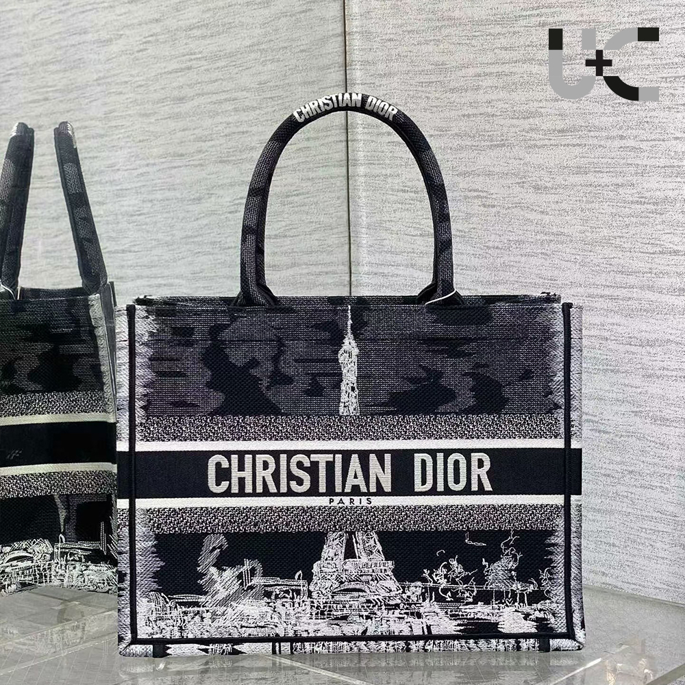 Dior Book Tote Paris Medium Bag