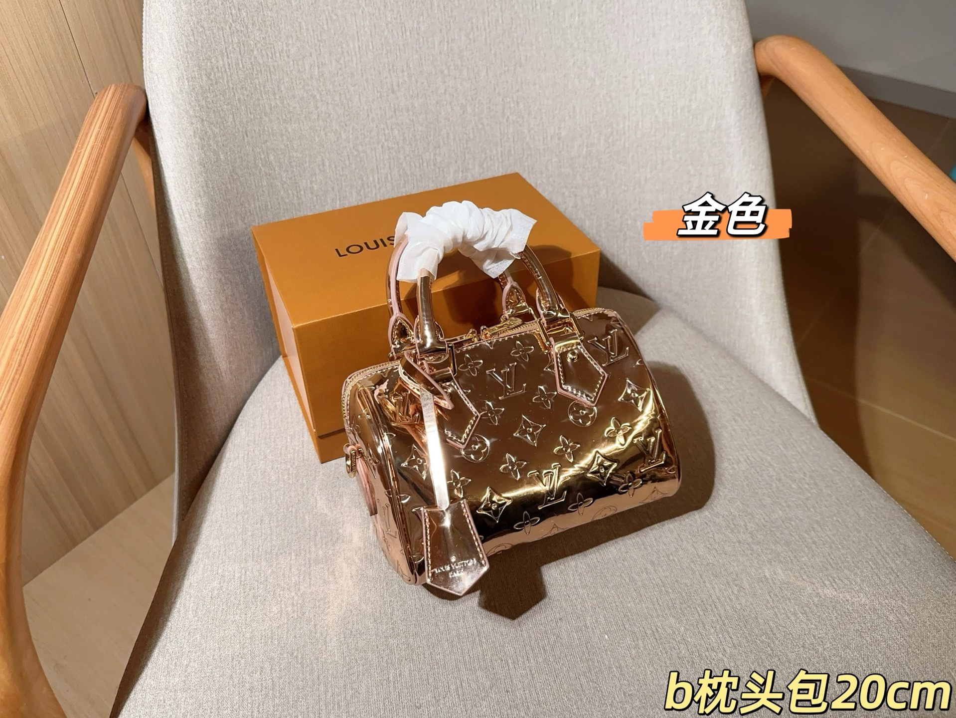 LV Speedy 20 Mirror Ski Collection | Pillow Bag