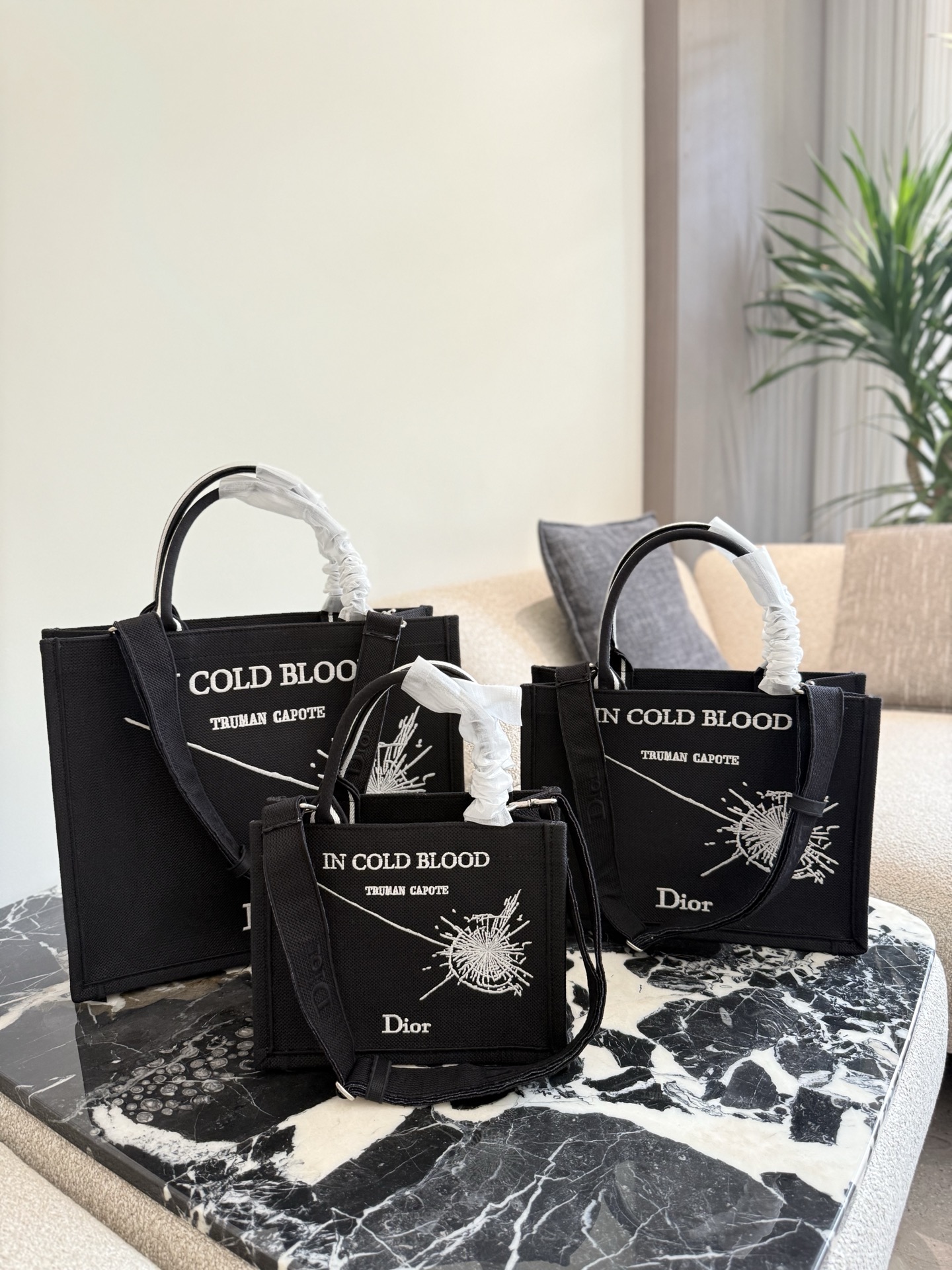 DIOR Book Tote Jonathan Anderson 10A