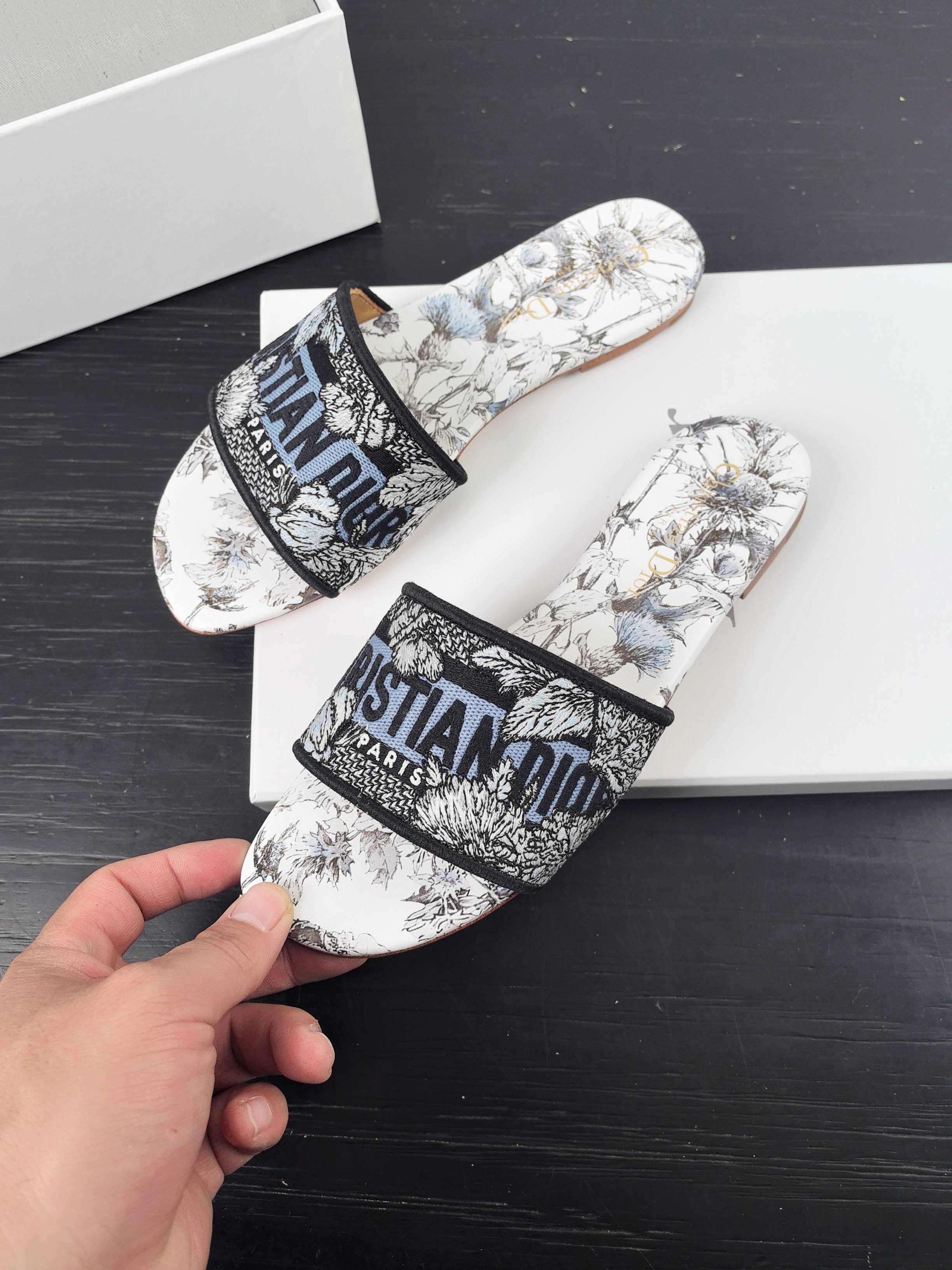 Dior Slipper Sandals Shoes