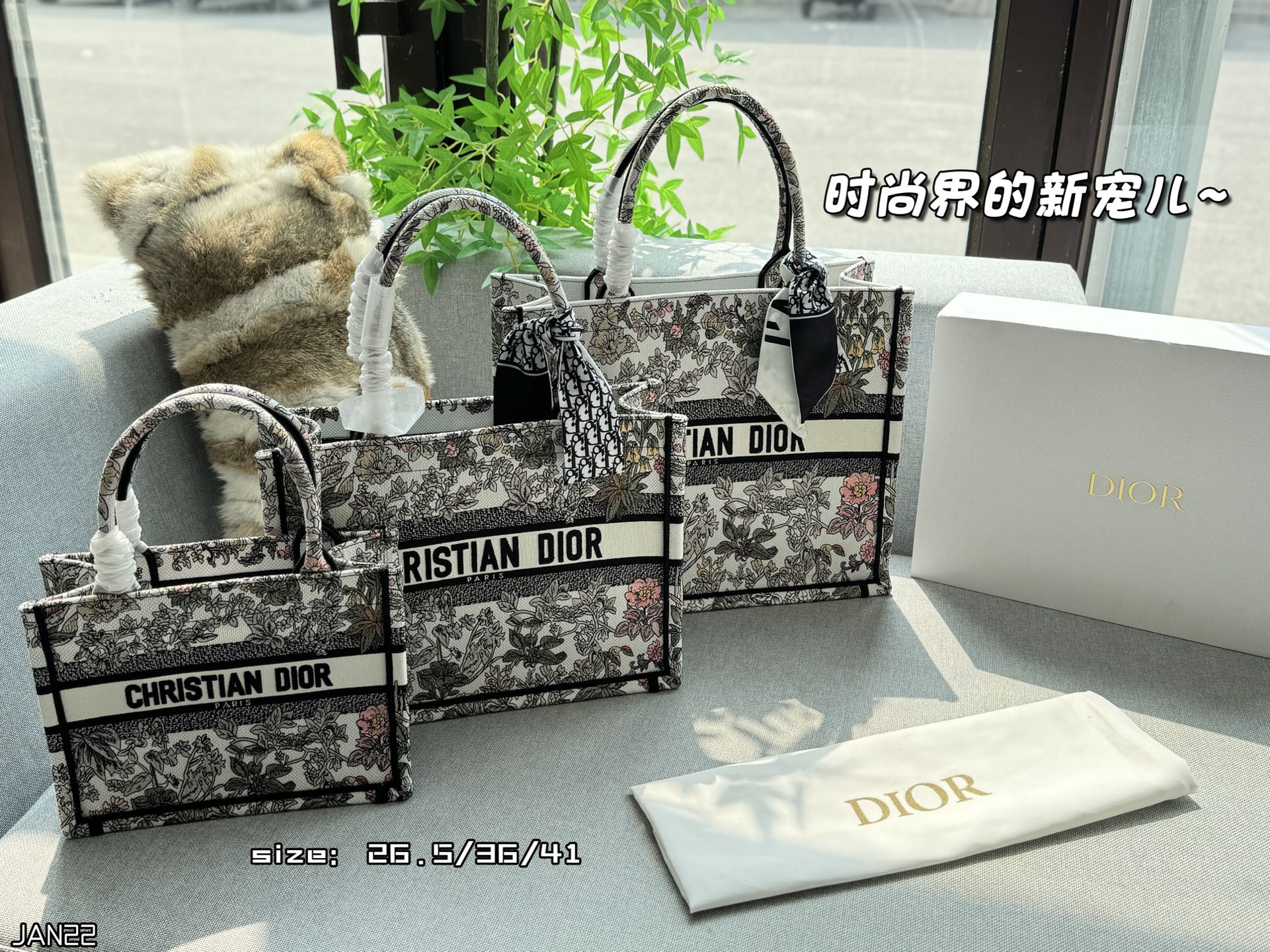 DIOR Book Tote Millefiori Unicorn 10A