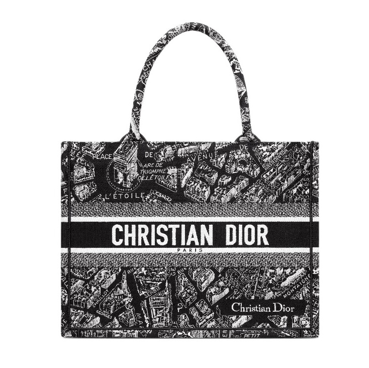 DIOR Book Tote Paris Map Bags