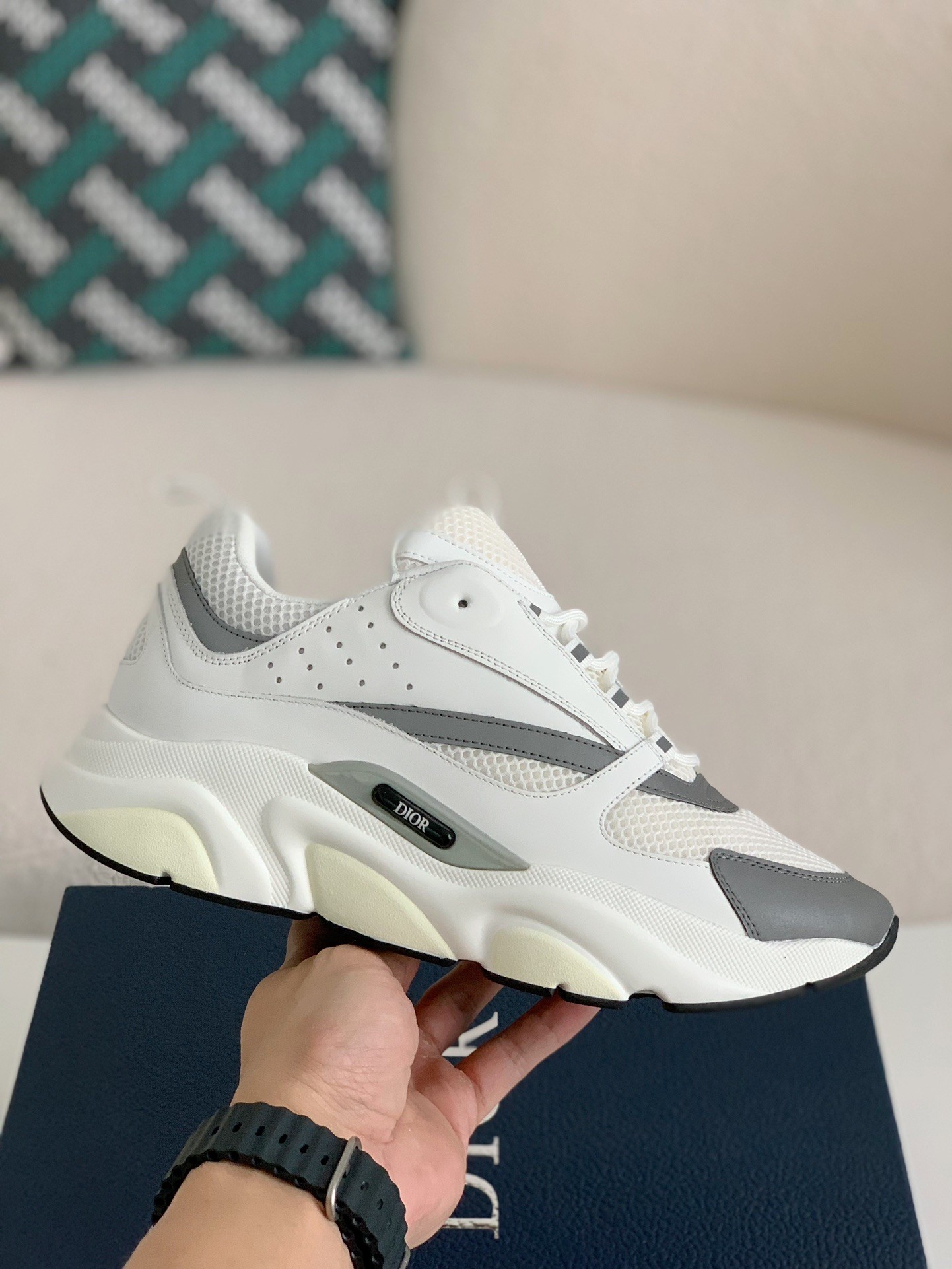 DIOR classic B22 Clunky Sneaker Shoes