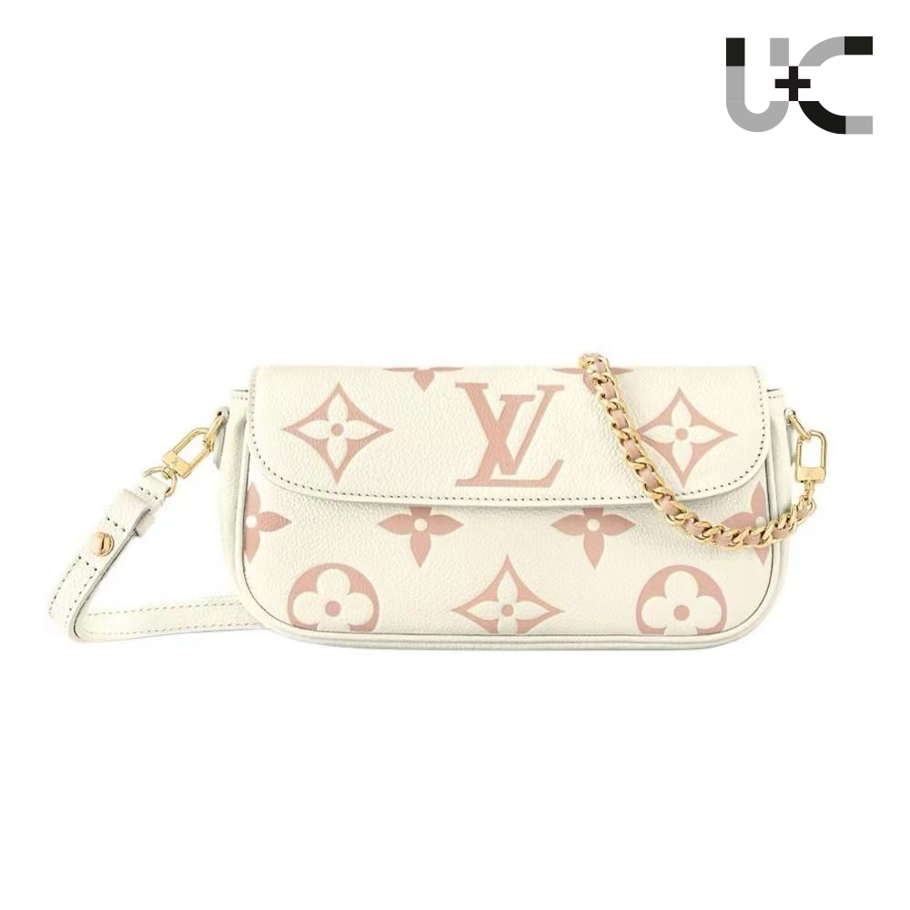 Louis Vuitton LV Monogram Bag