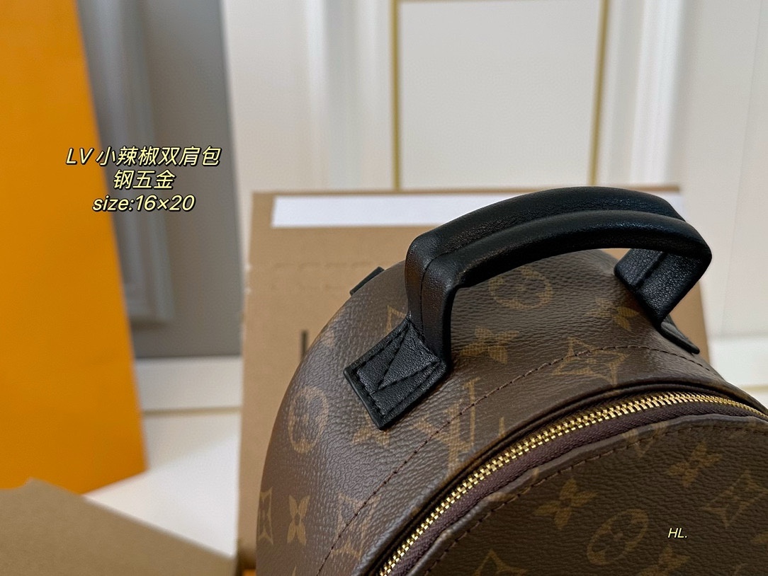 LV mini backpack