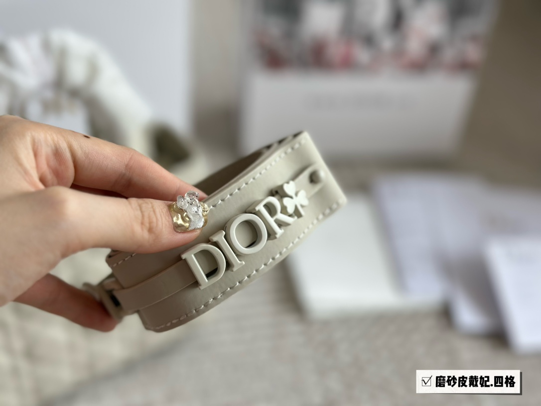 Dior lady d nubuck leather