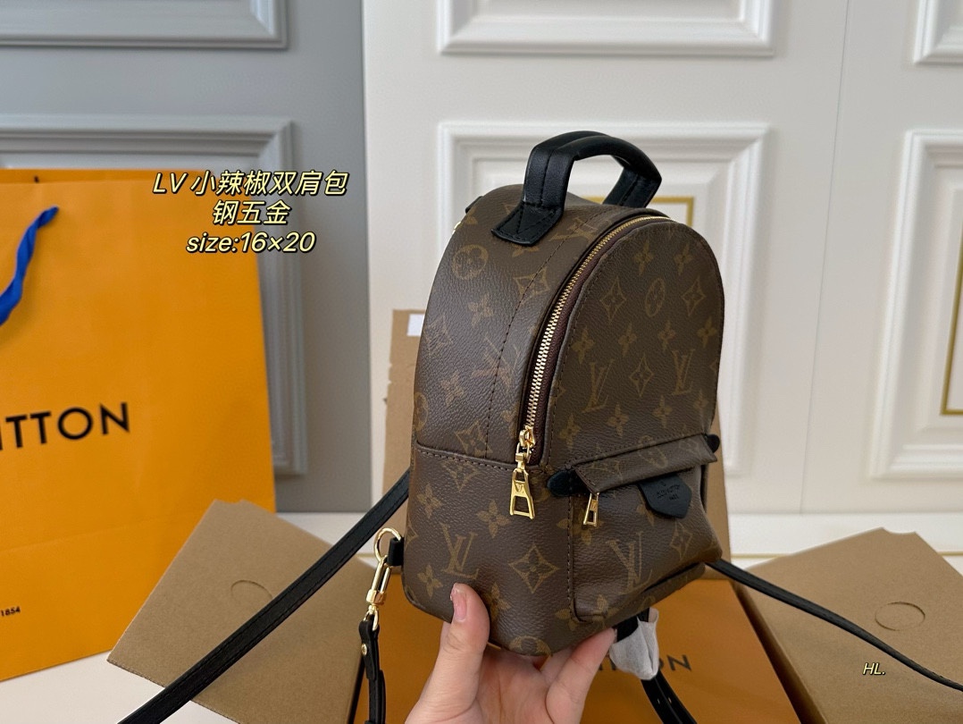 LV mini backpack