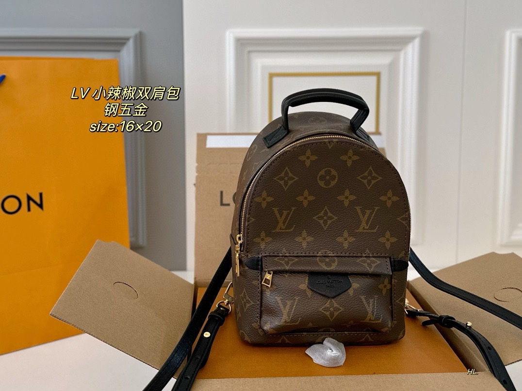 LV mini backpack