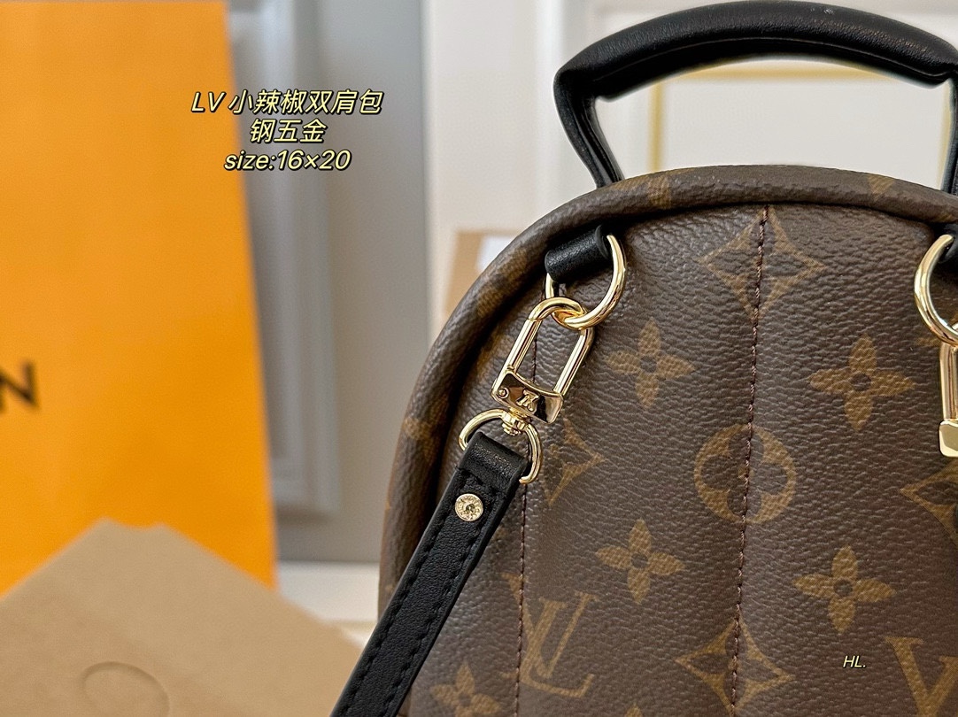 LV mini backpack