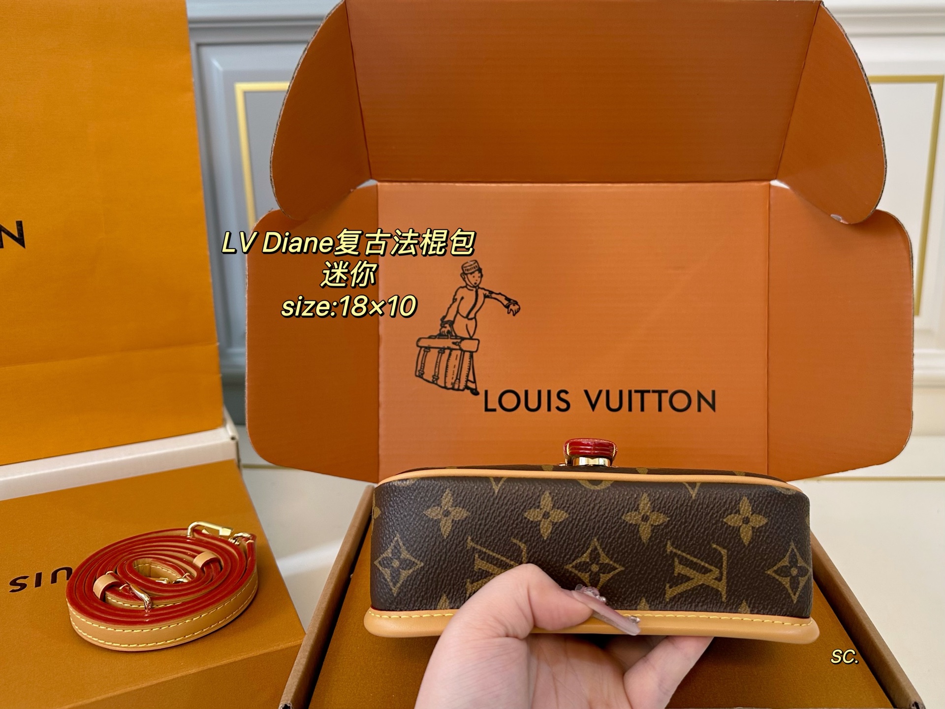 LV mini Diane