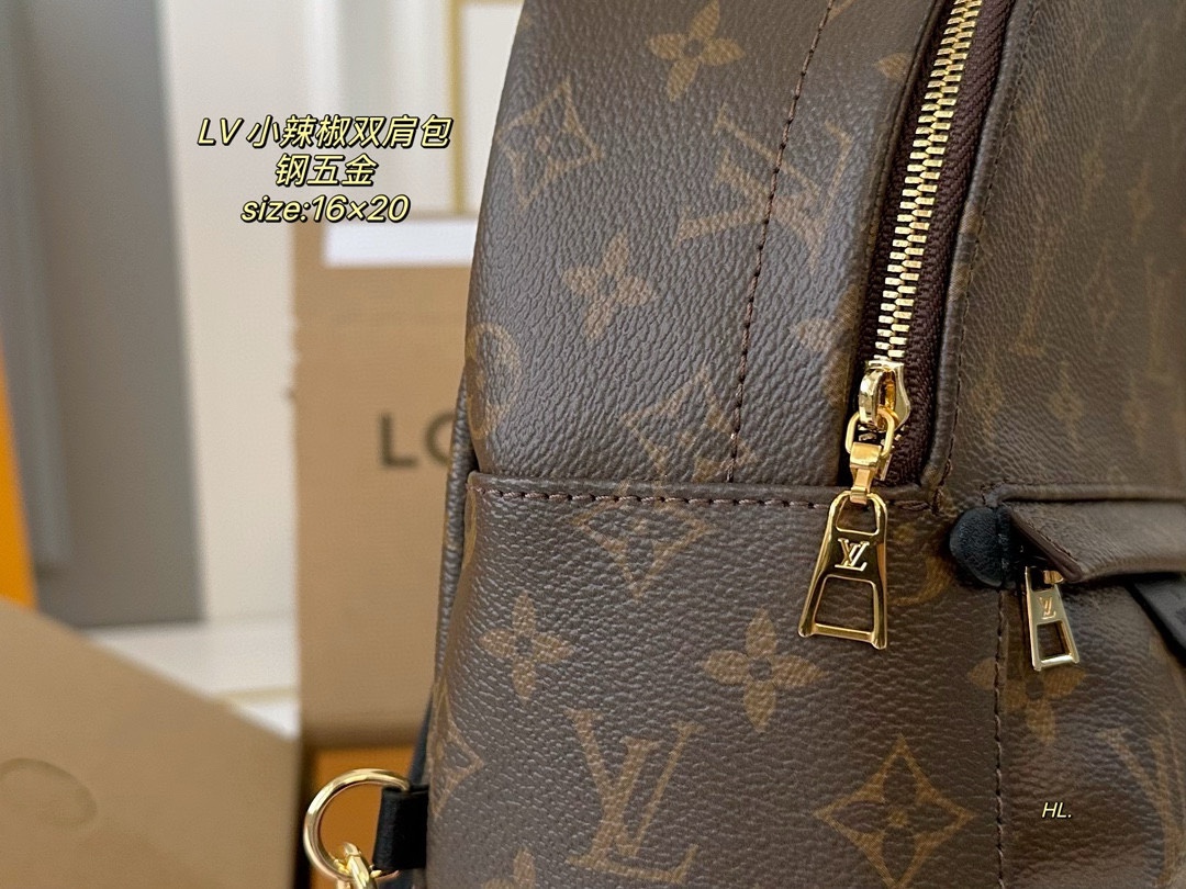 LV mini backpack