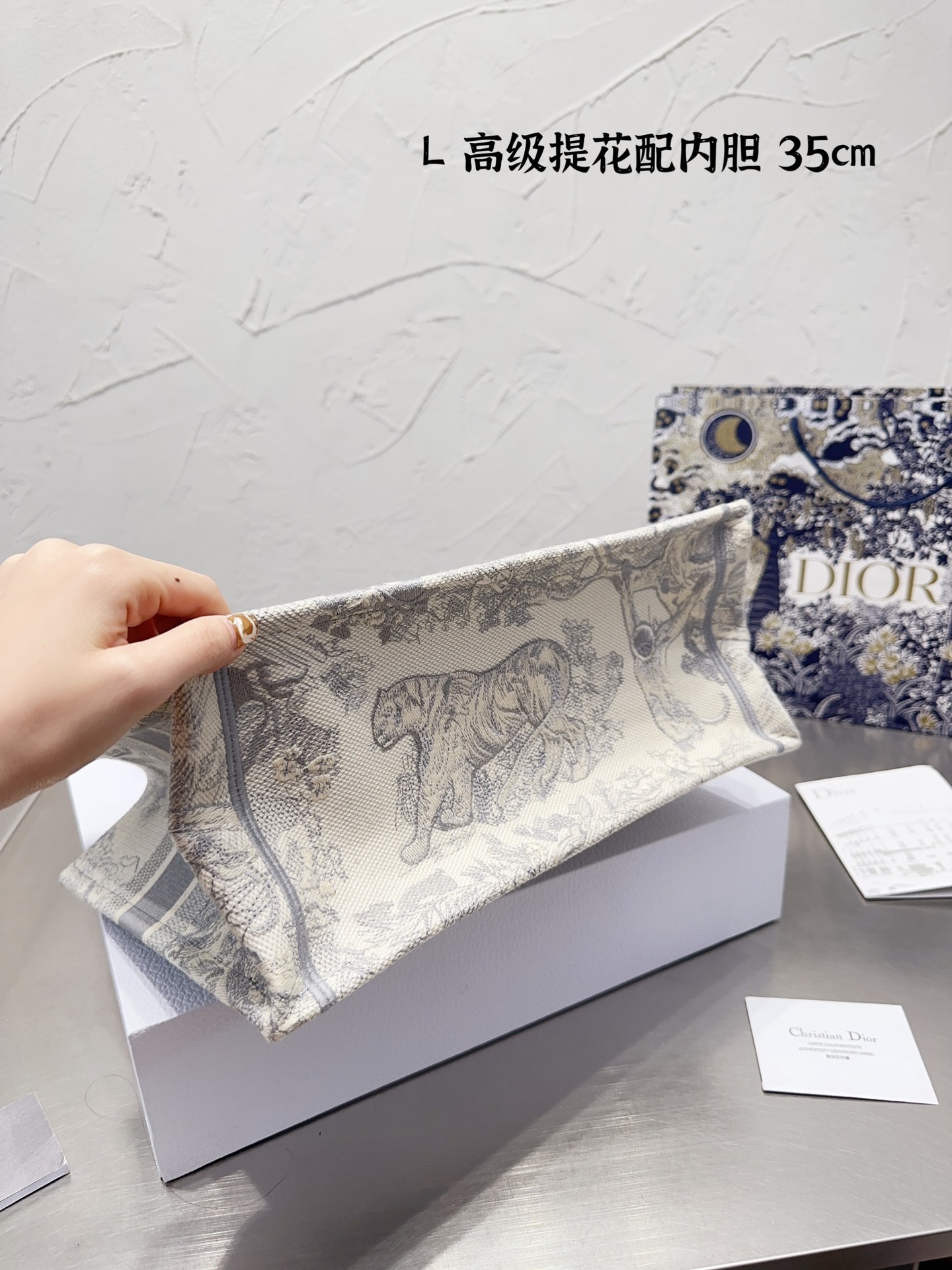 Dior book tote