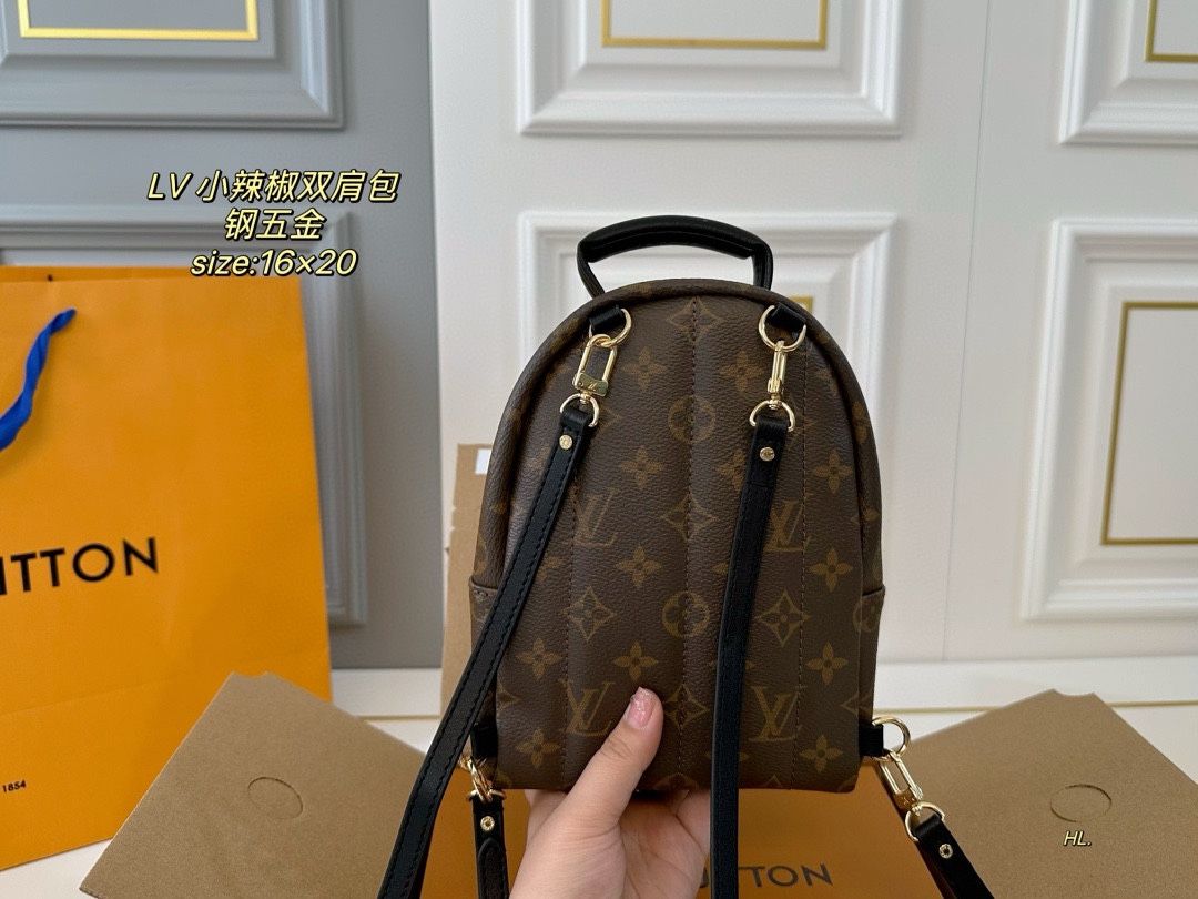 LV mini backpack