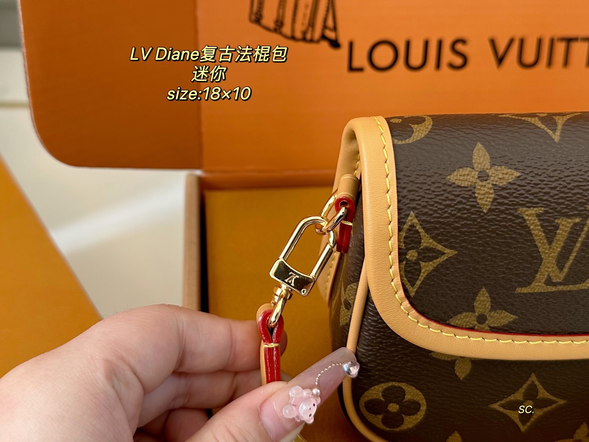 LV mini Diane