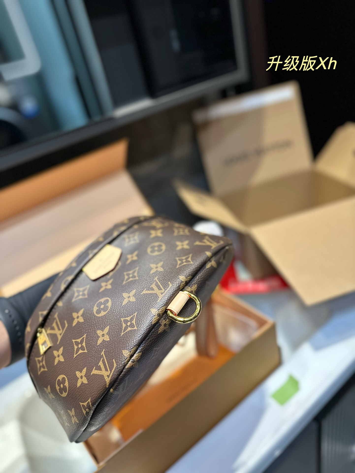 LV bumbag