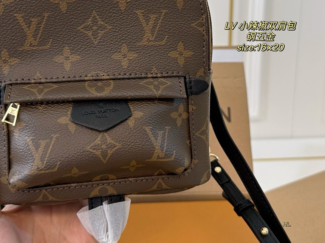 LV mini backpack