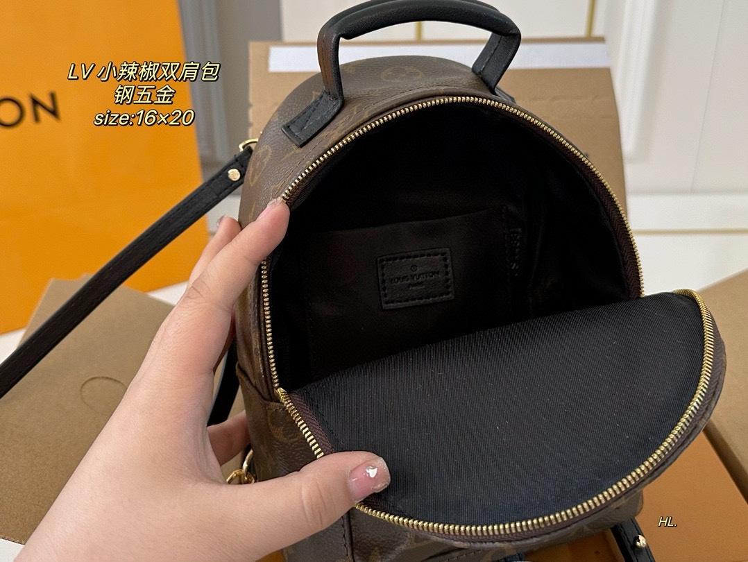 LV mini backpack
