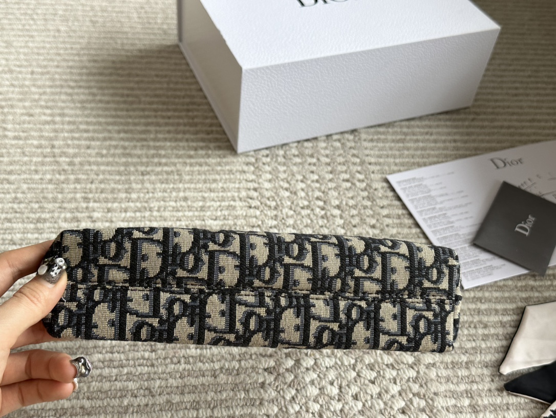 Dior Hobo Underarm Bag