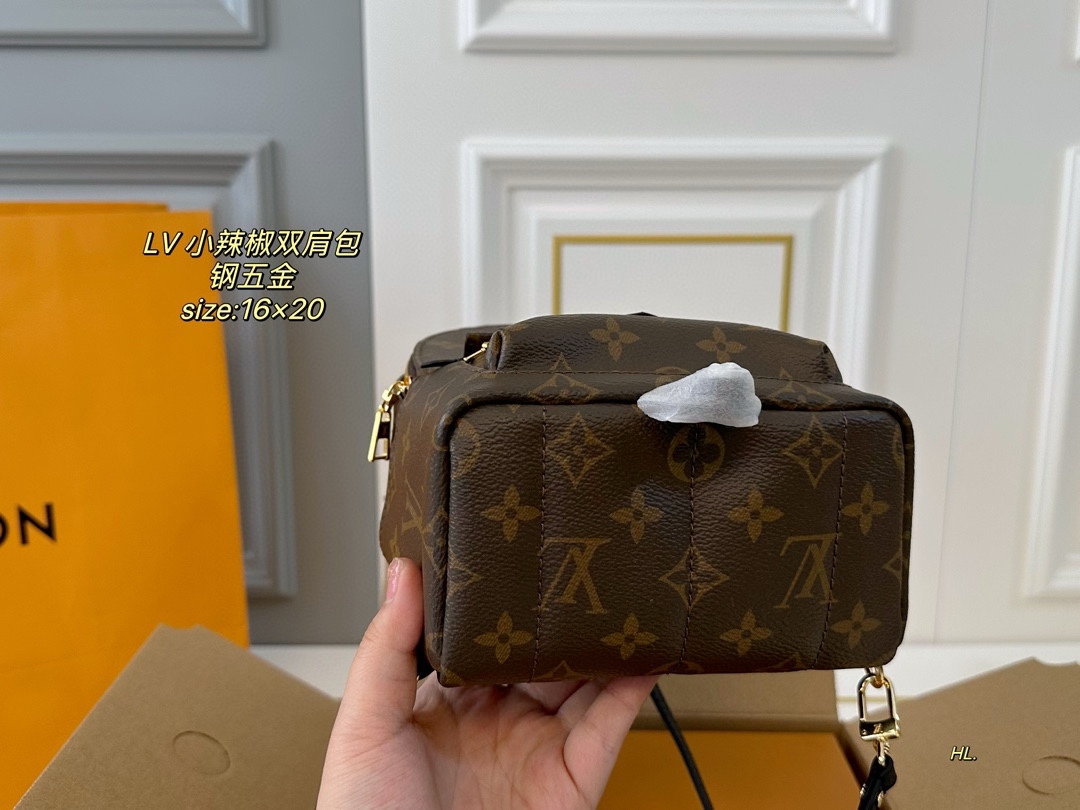 LV mini backpack