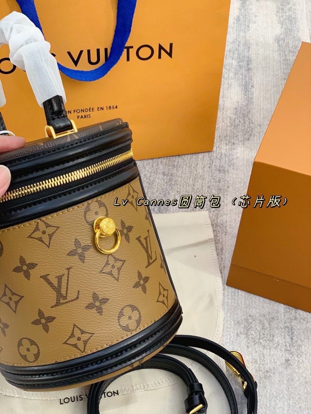 LV Cannes vanity case bucket bag