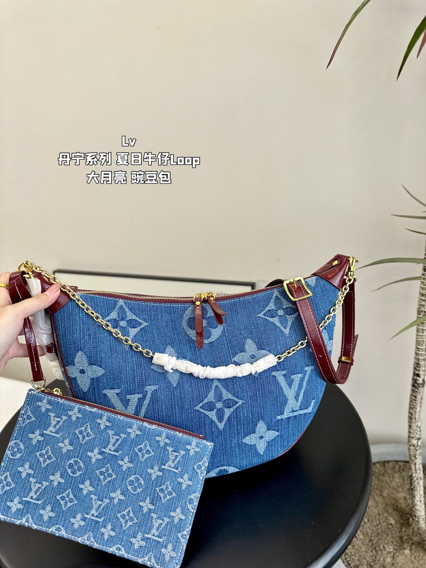 Lv loop bag