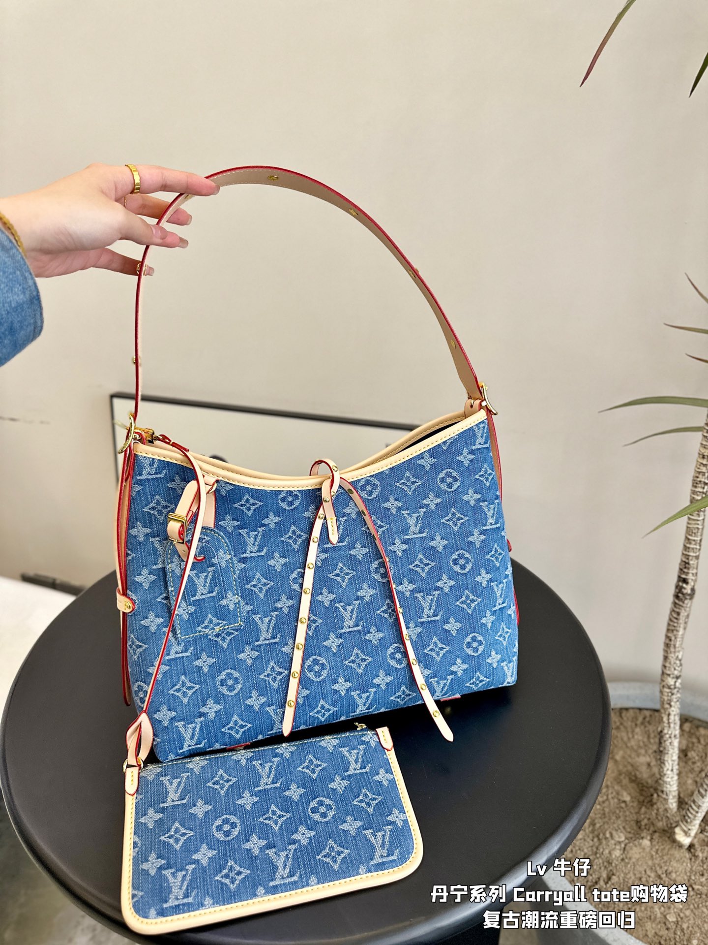 Lv carryall