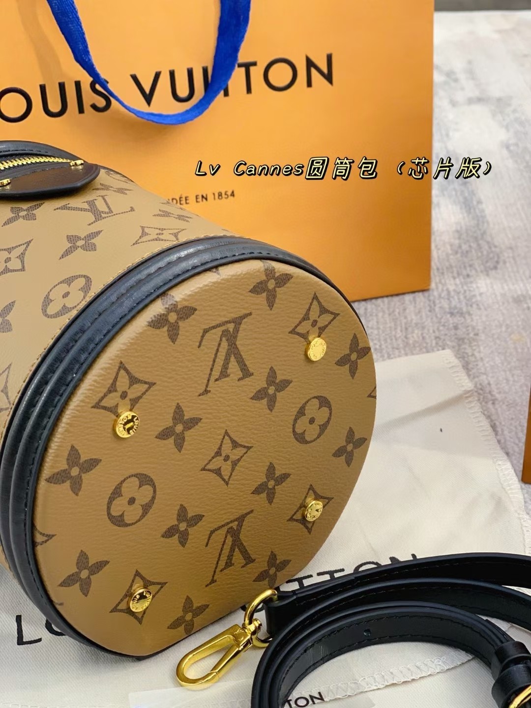 LV Cannes vanity case bucket bag