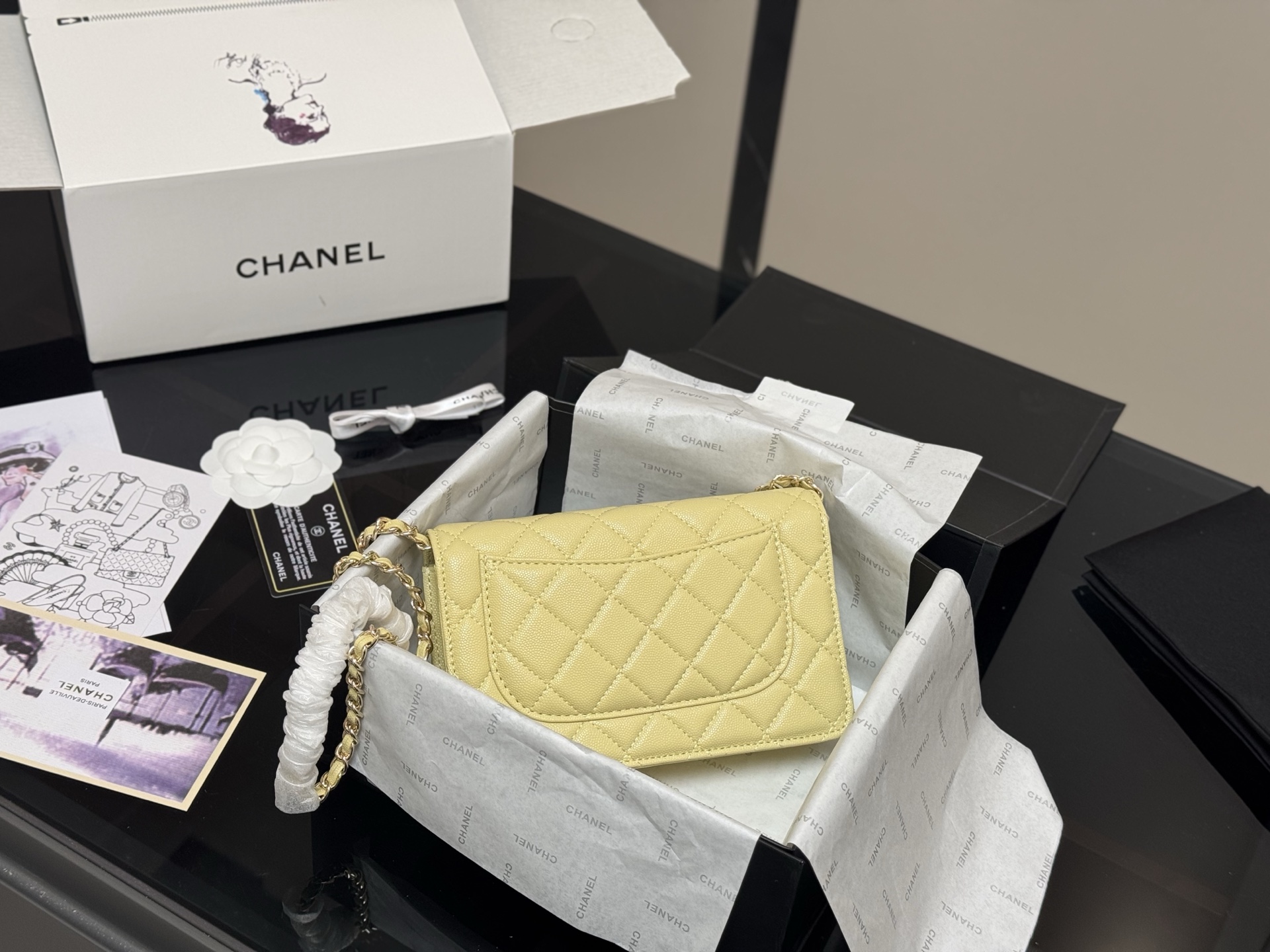 Chanel classic fortune bag woc