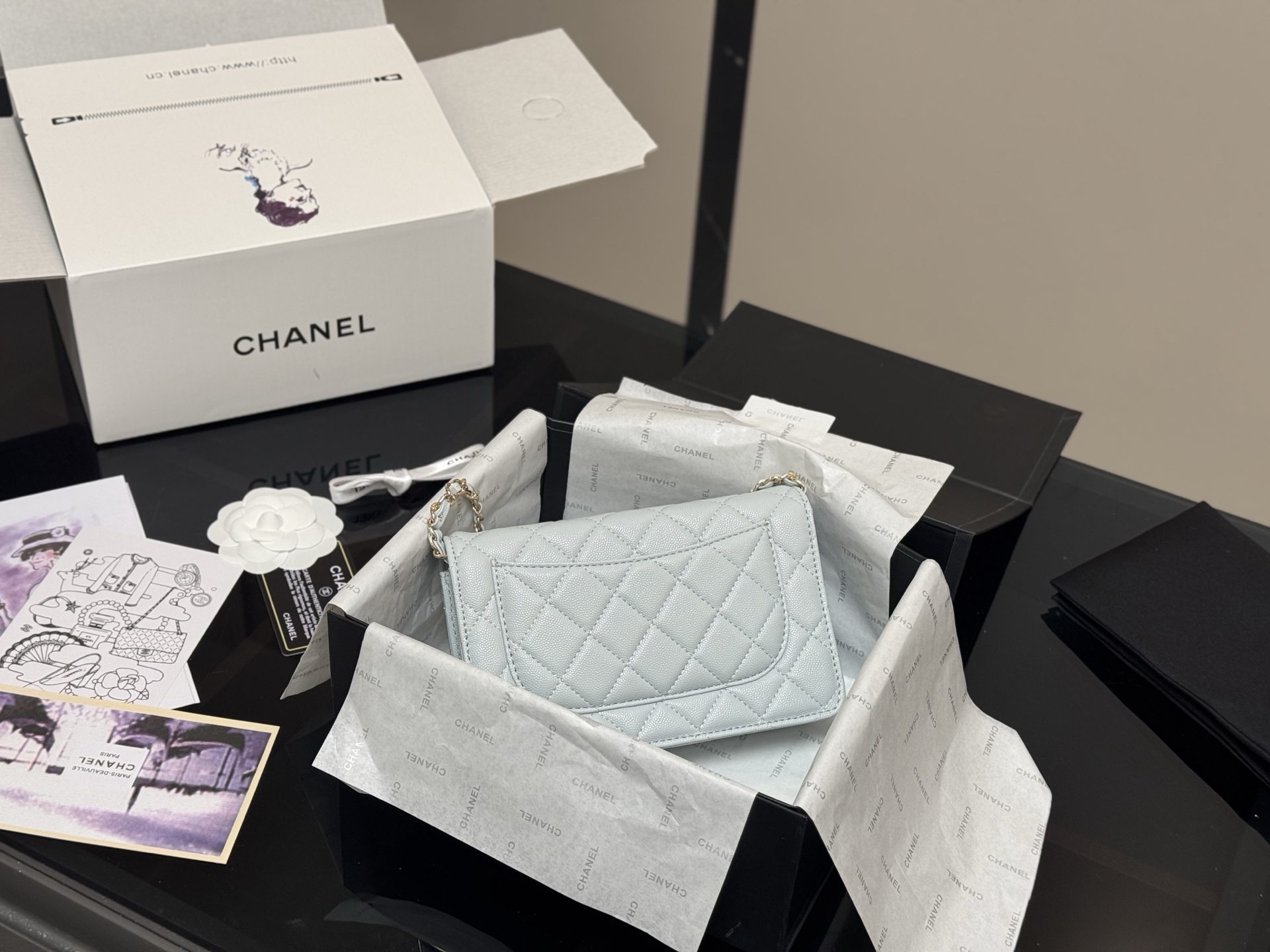 Chanel classic fortune bag woc