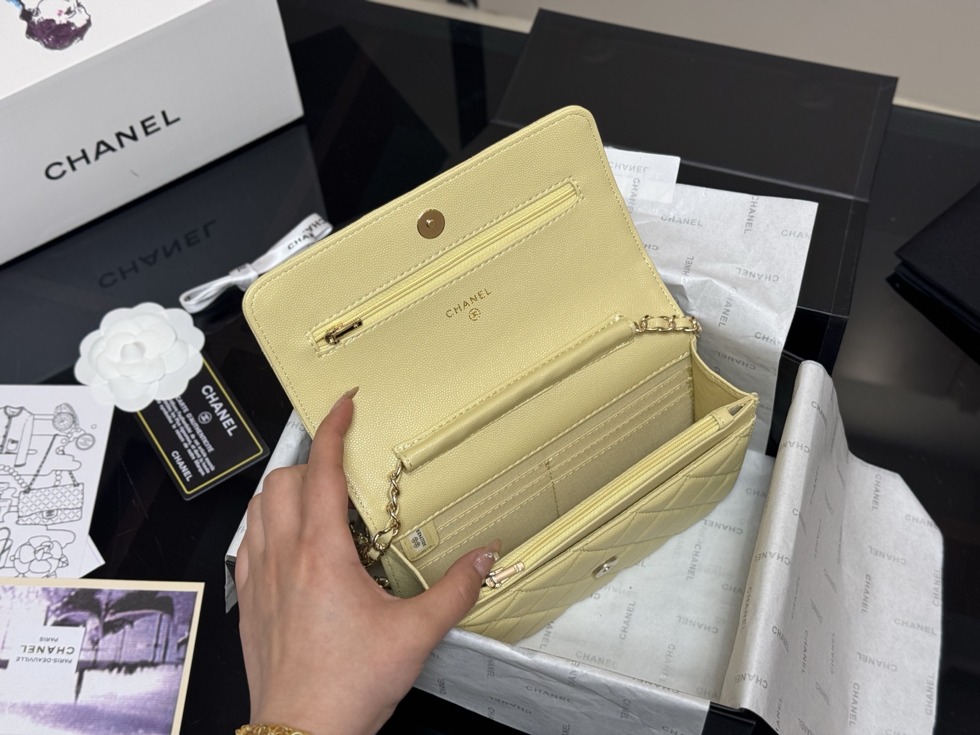 Chanel classic fortune bag woc