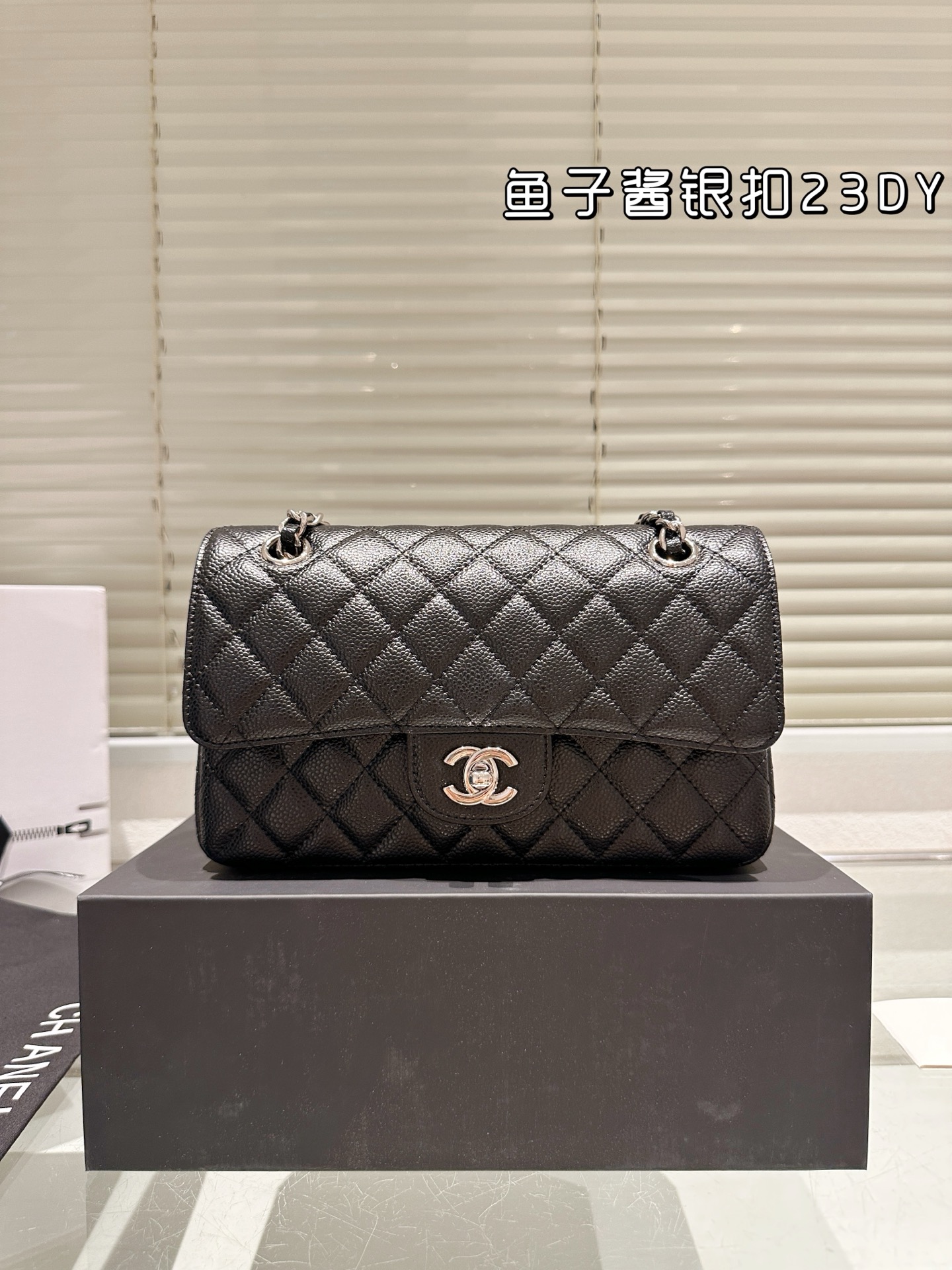 Chanel Classic Flap Sliver 23