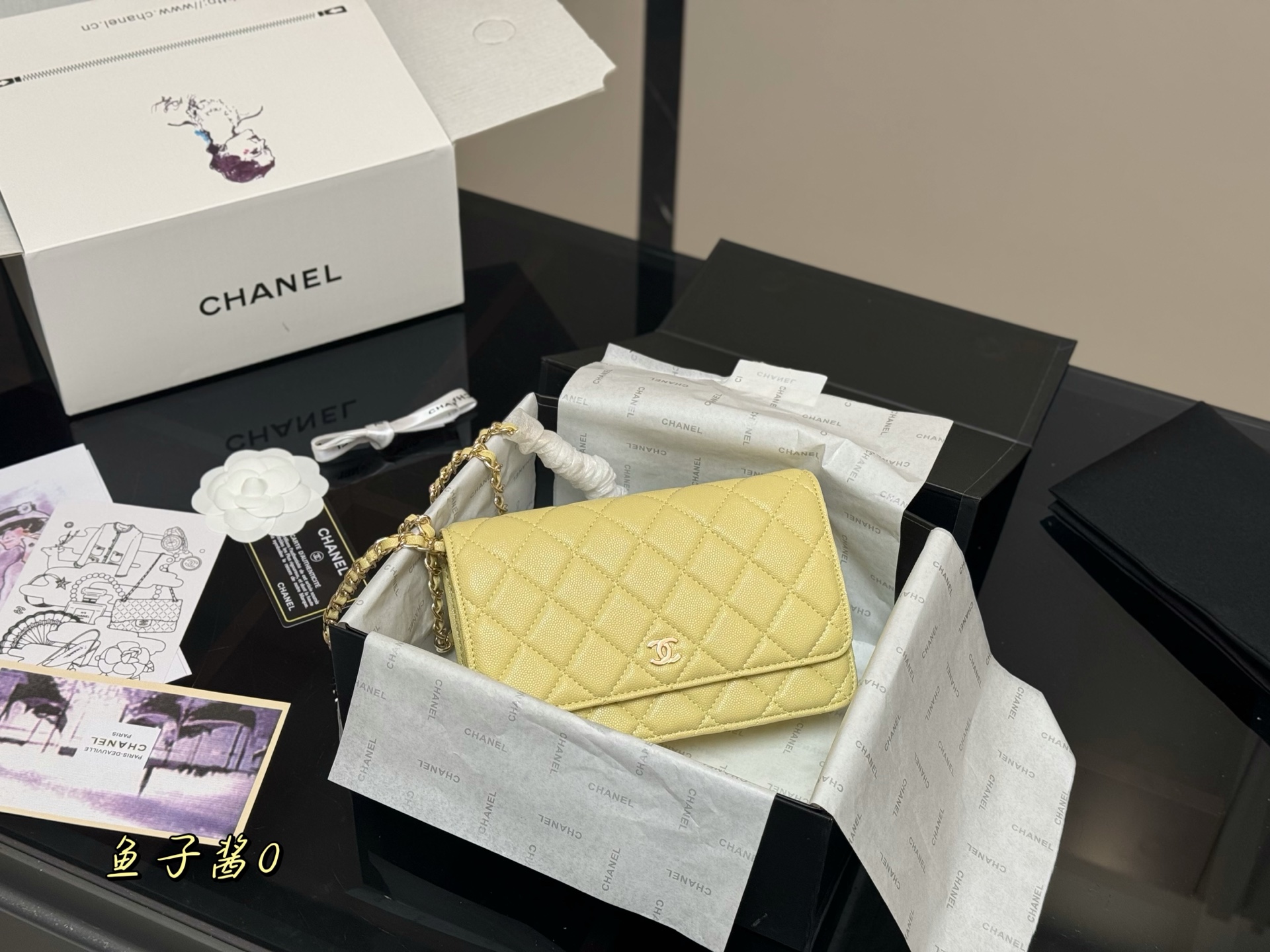 Chanel classic fortune bag woc
