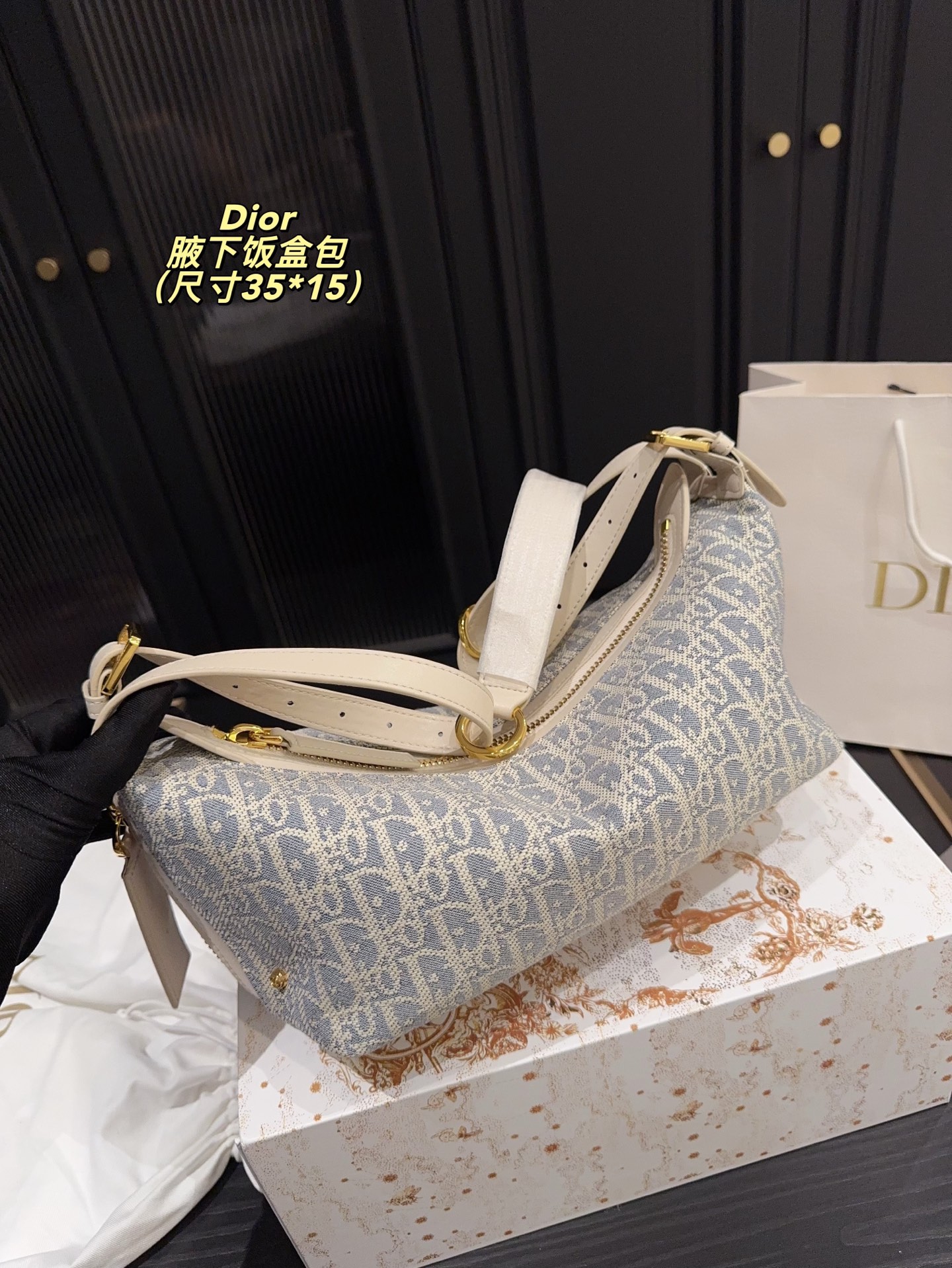 Dior Underarm Lunch Box Bag