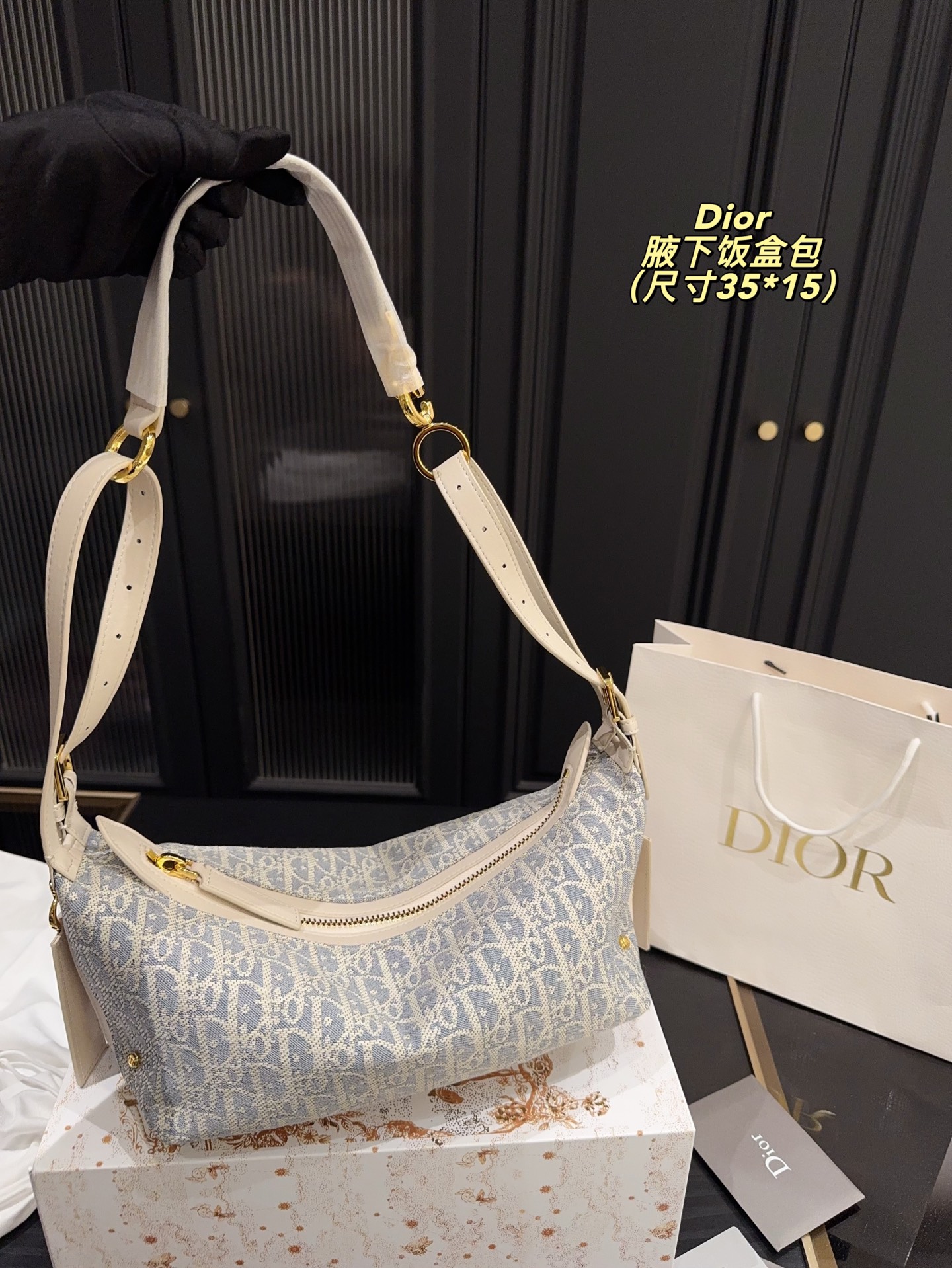 Dior Underarm Lunch Box Bag