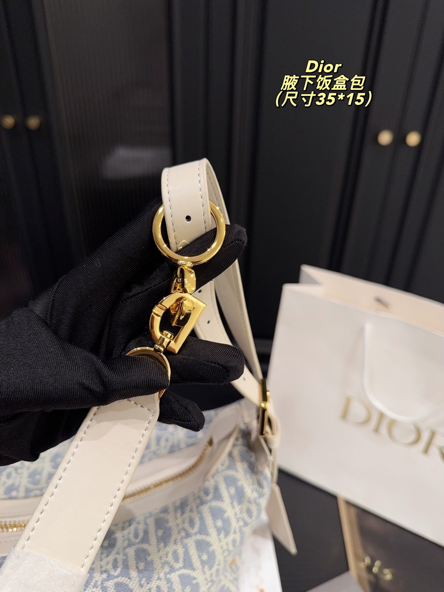 Dior Underarm Lunch Box Bag