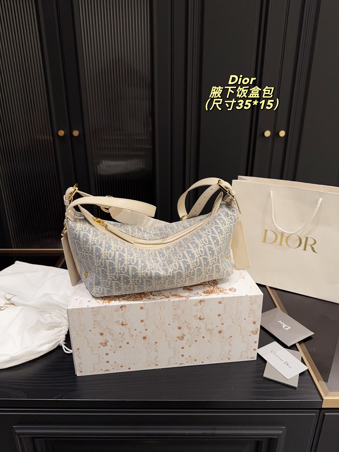Dior Underarm Lunch Box Bag