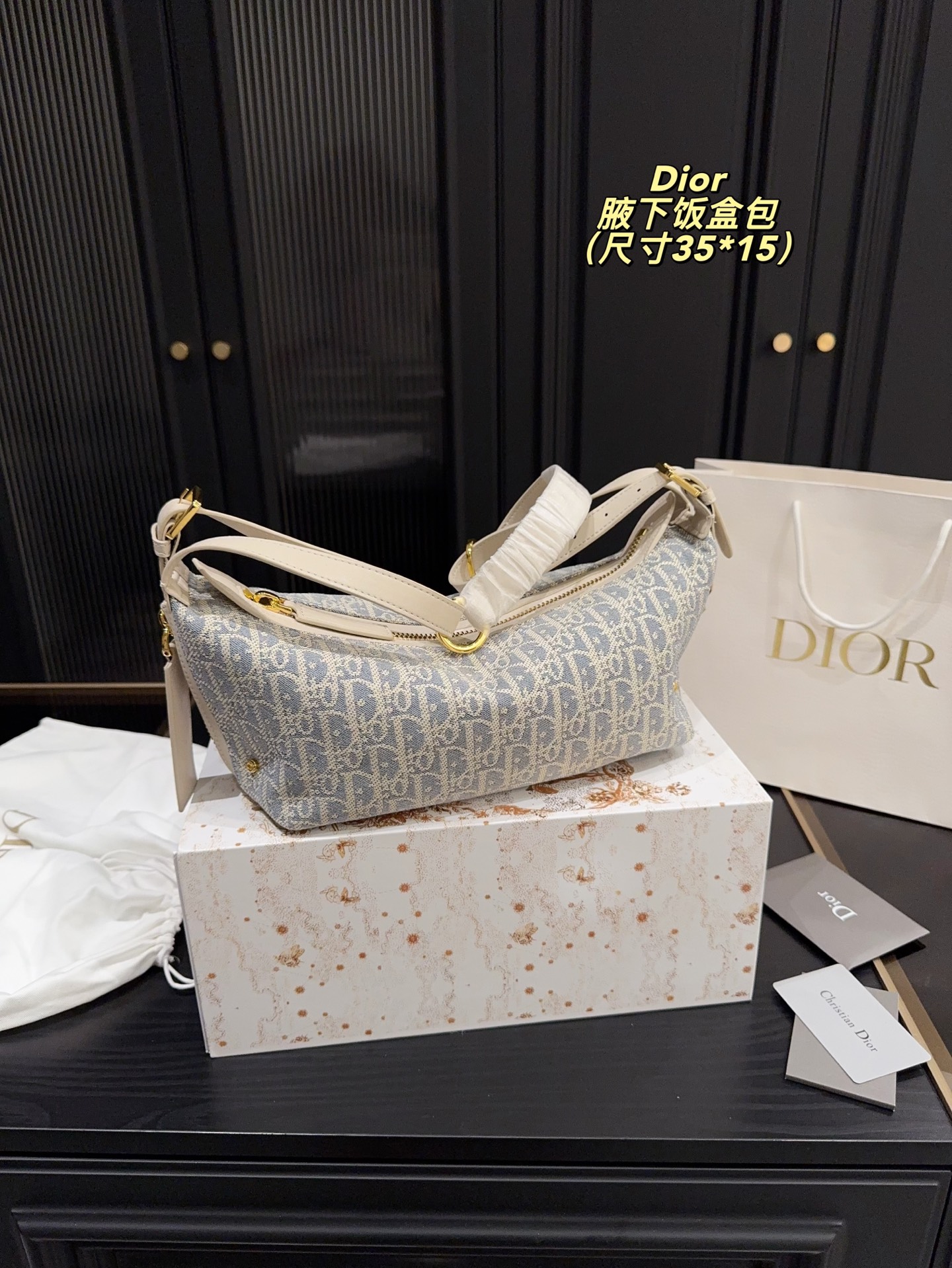 Dior Underarm Lunch Box Bag