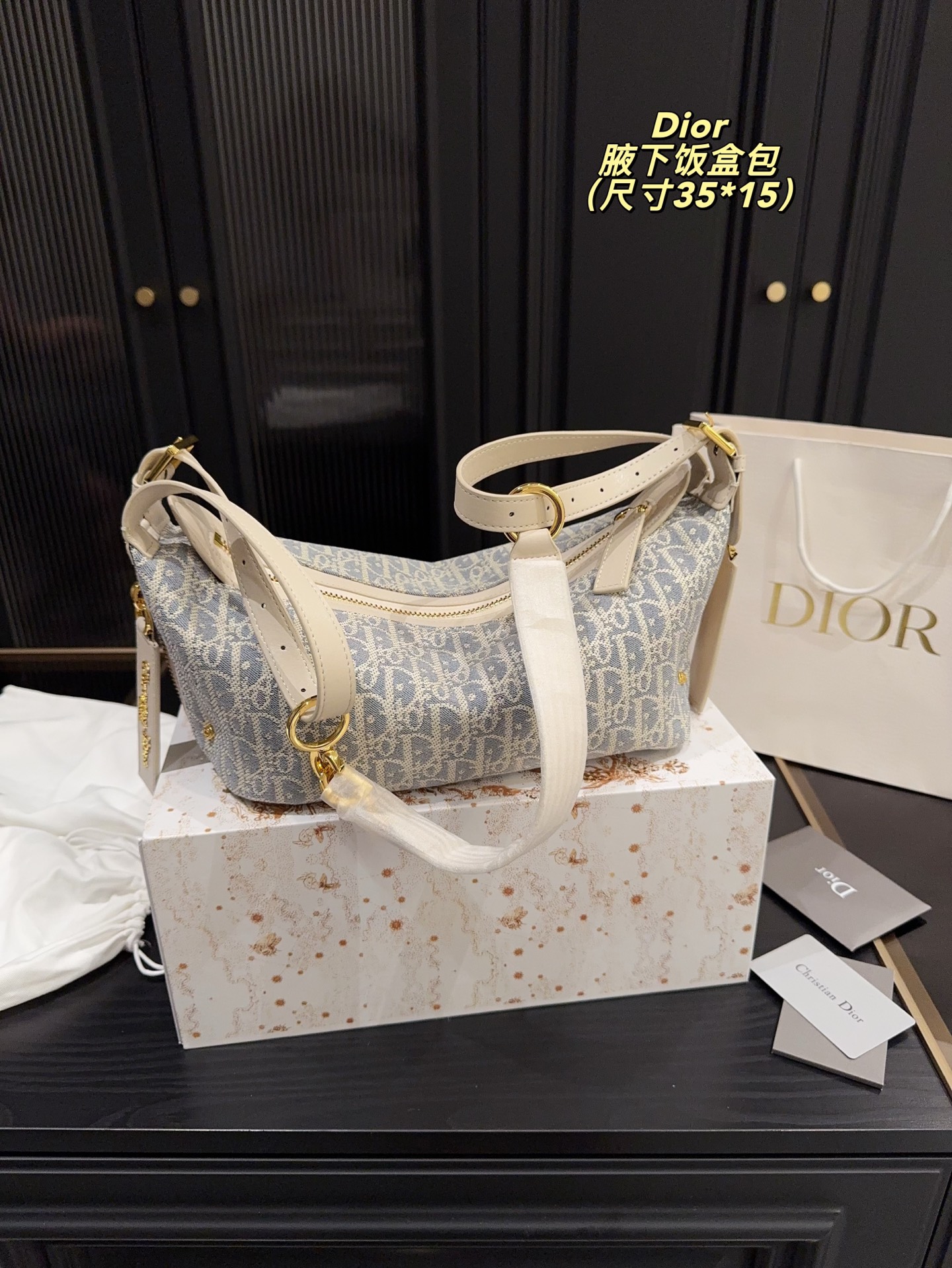 Dior Underarm Lunch Box Bag