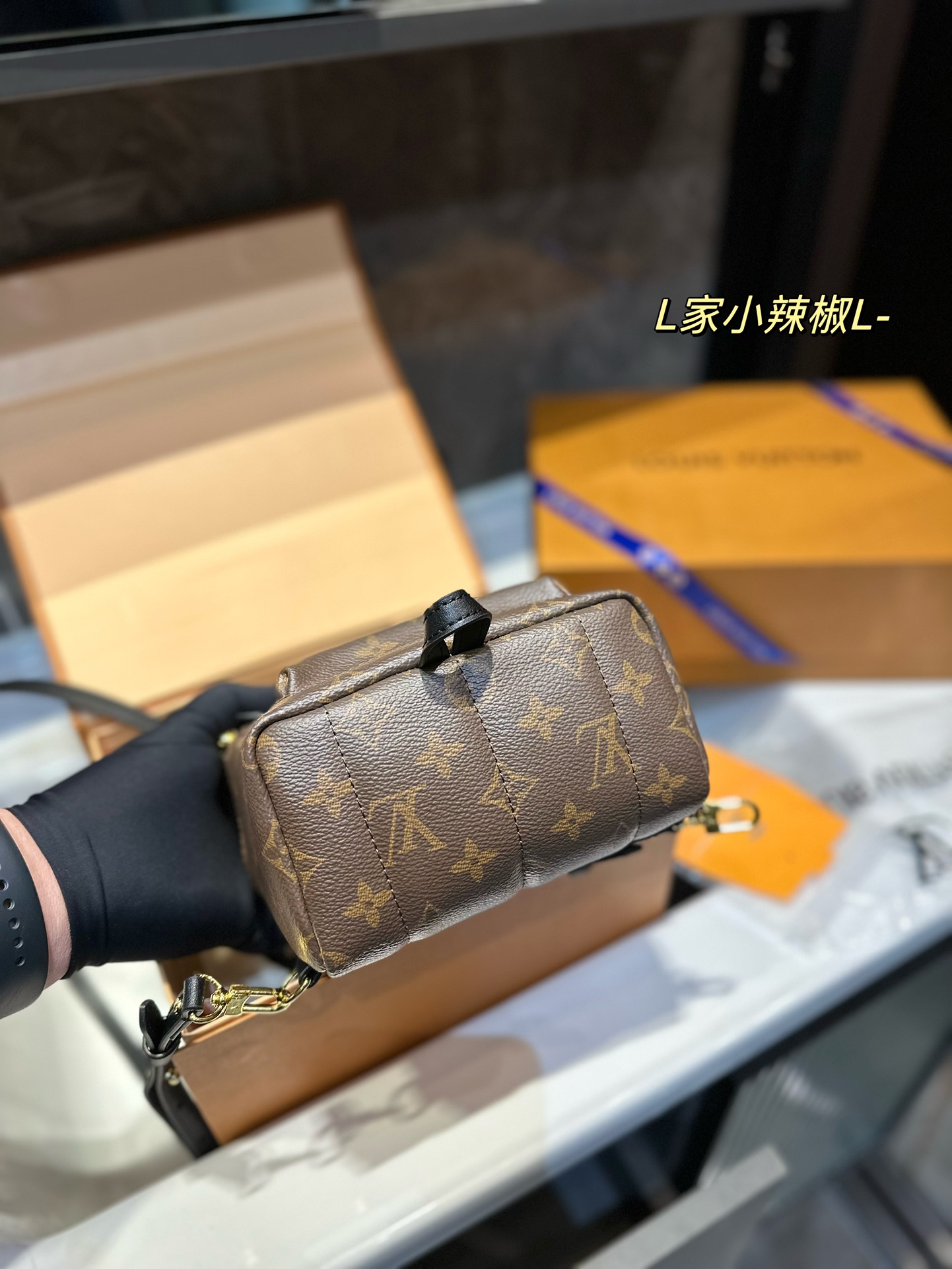 LV Backpack Chili Pepper