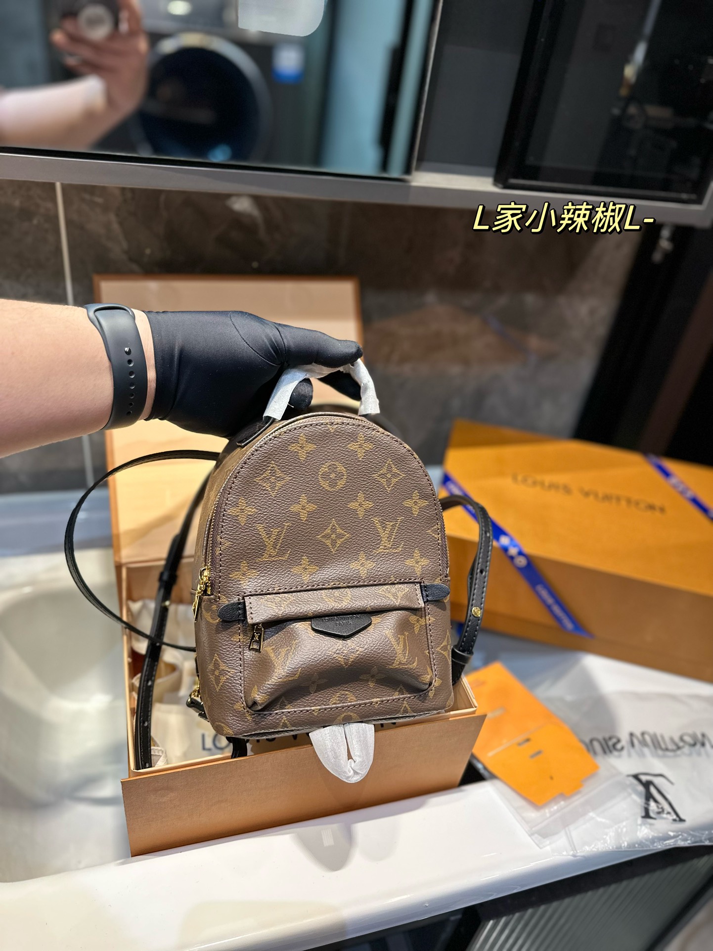 LV Backpack Chili Pepper