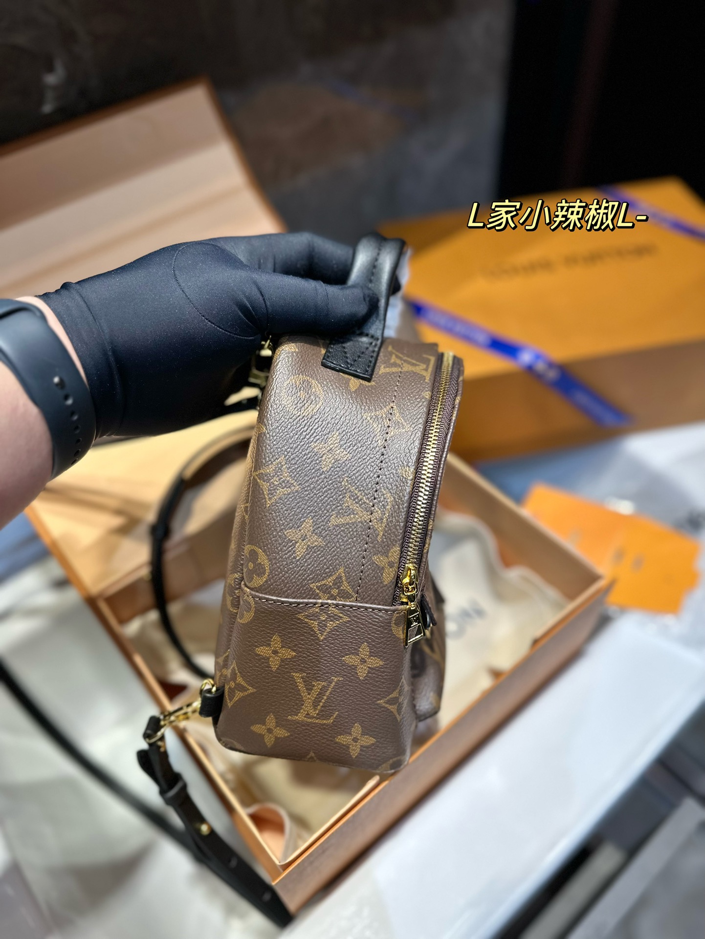 LV Backpack Chili Pepper