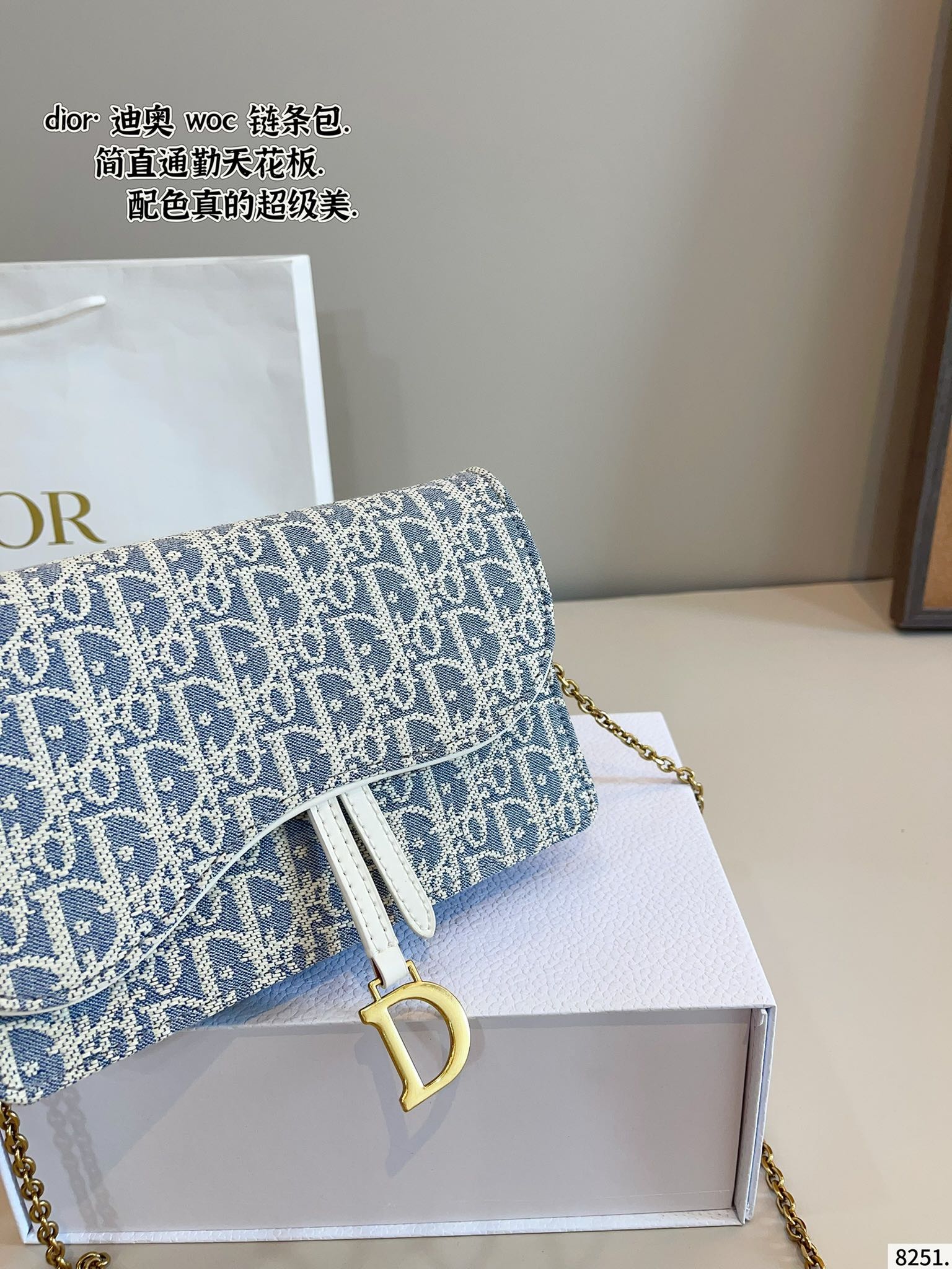 woc chain bag for DIOR