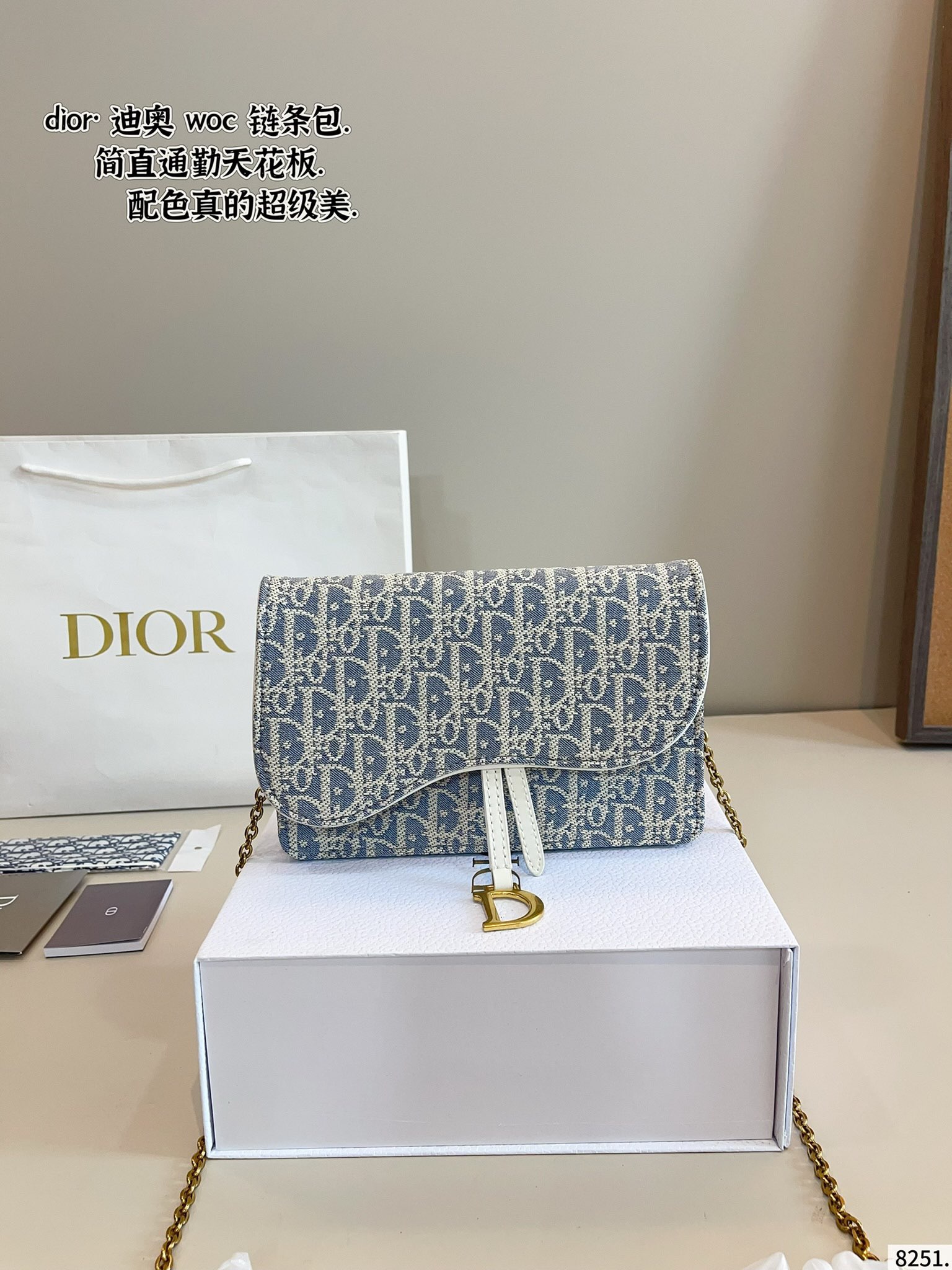 woc chain bag for DIOR
