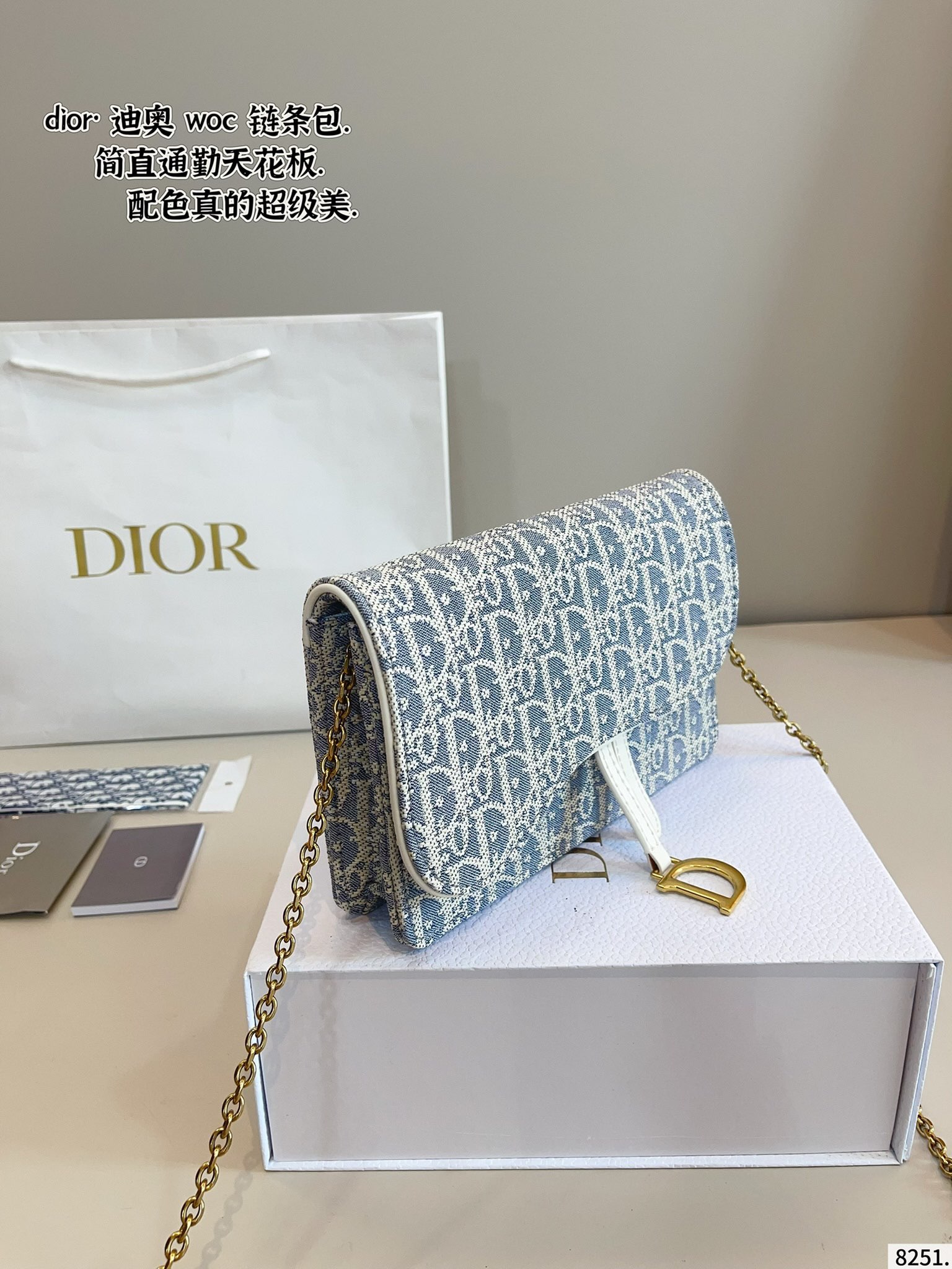 woc chain bag for DIOR
