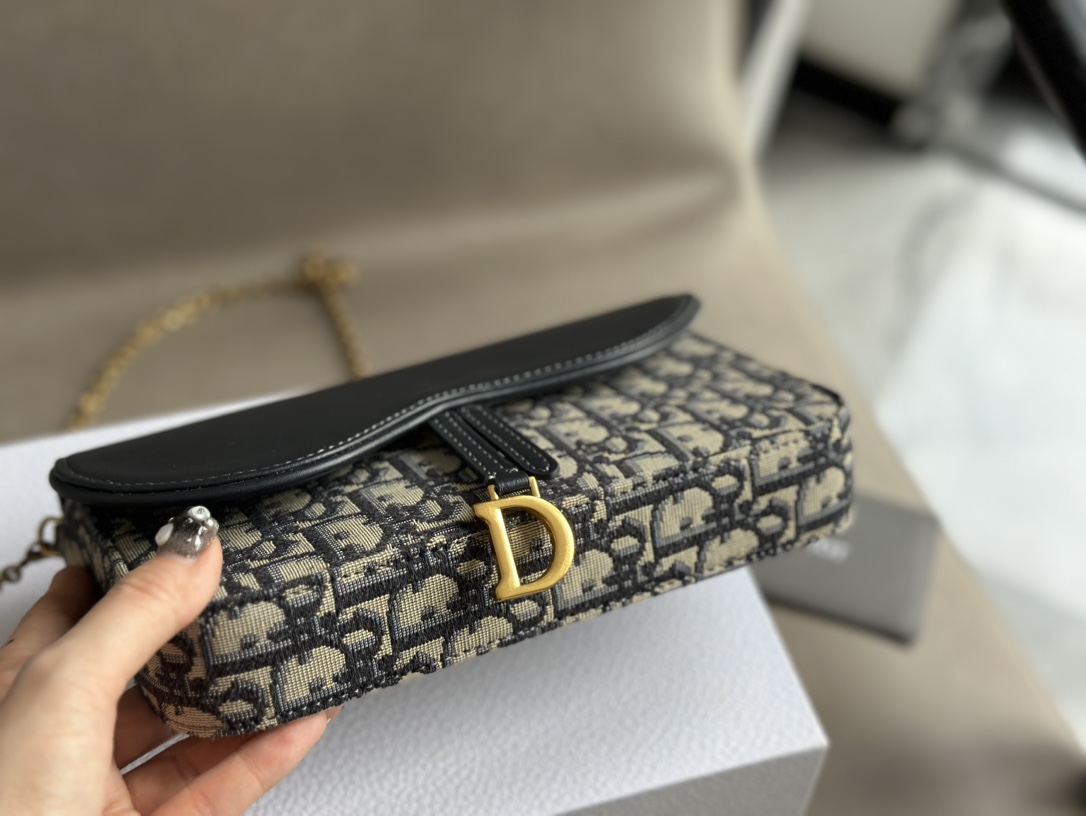 Dior saddle woc