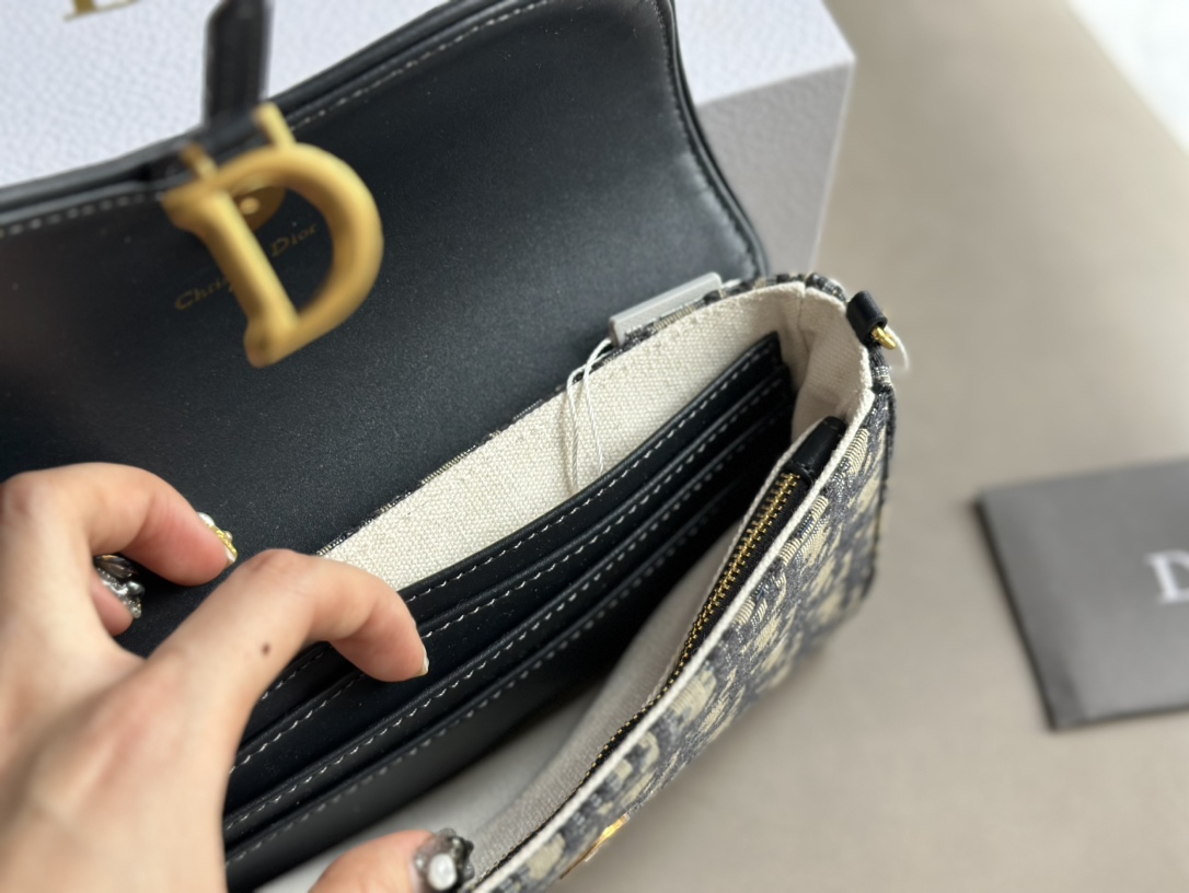 Dior saddle woc