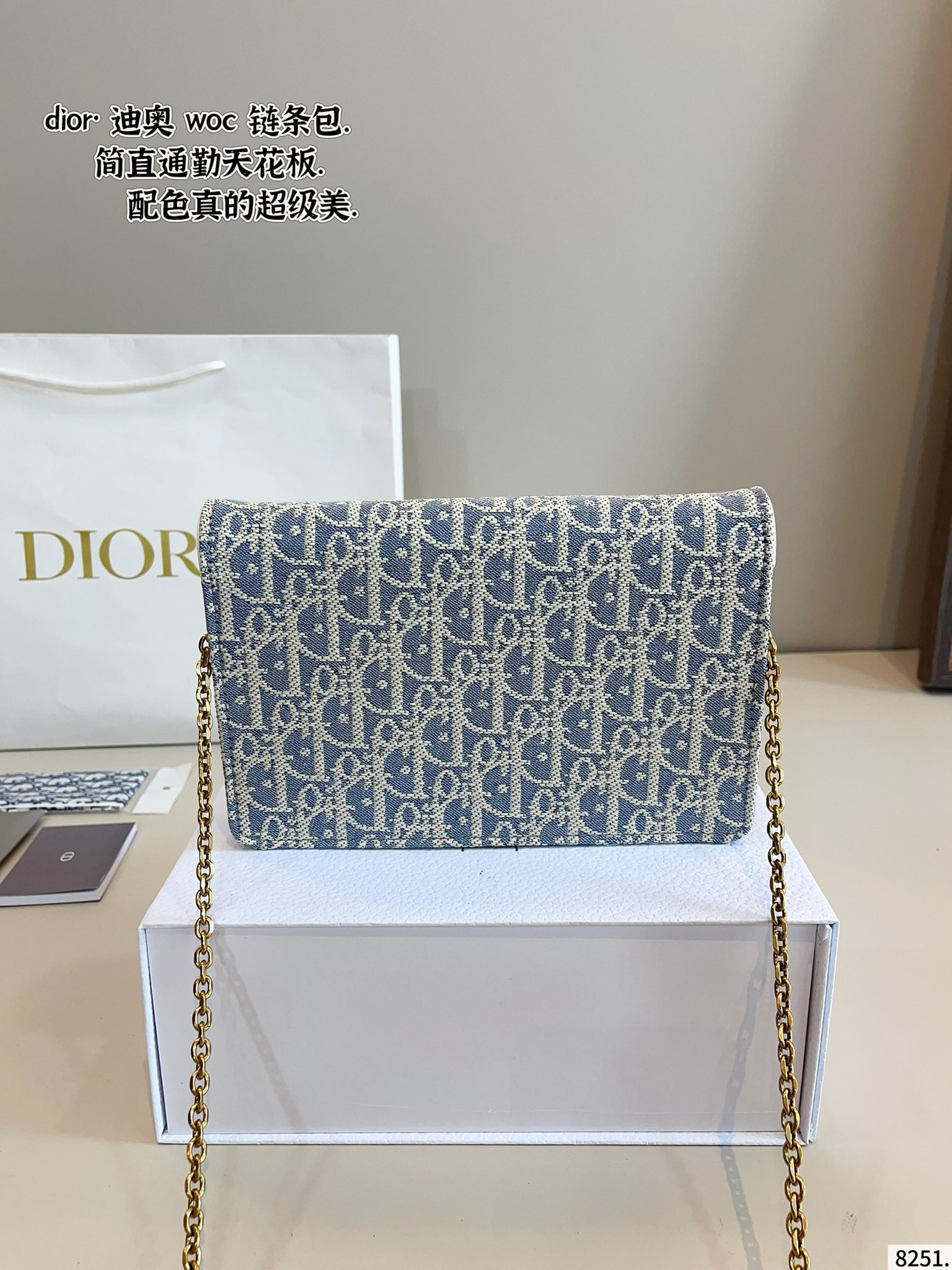 woc chain bag for DIOR